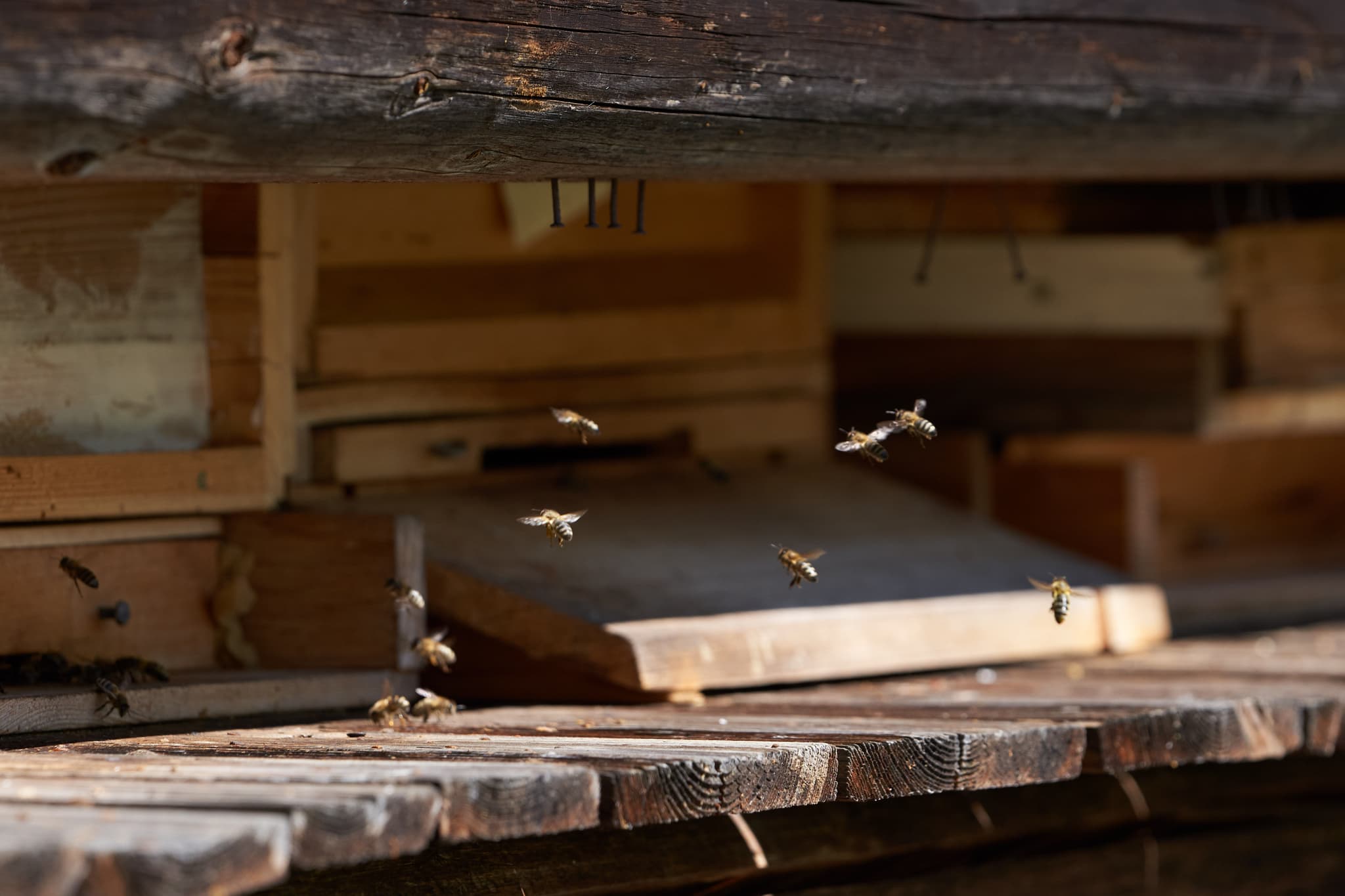 Bienenhaus an der Klausenkirche in Töging am Inn, Landkreis Altötting, Oberbayern, Deutschland. Das Bauwerk ist typisch für die Region Inn-Salzach.