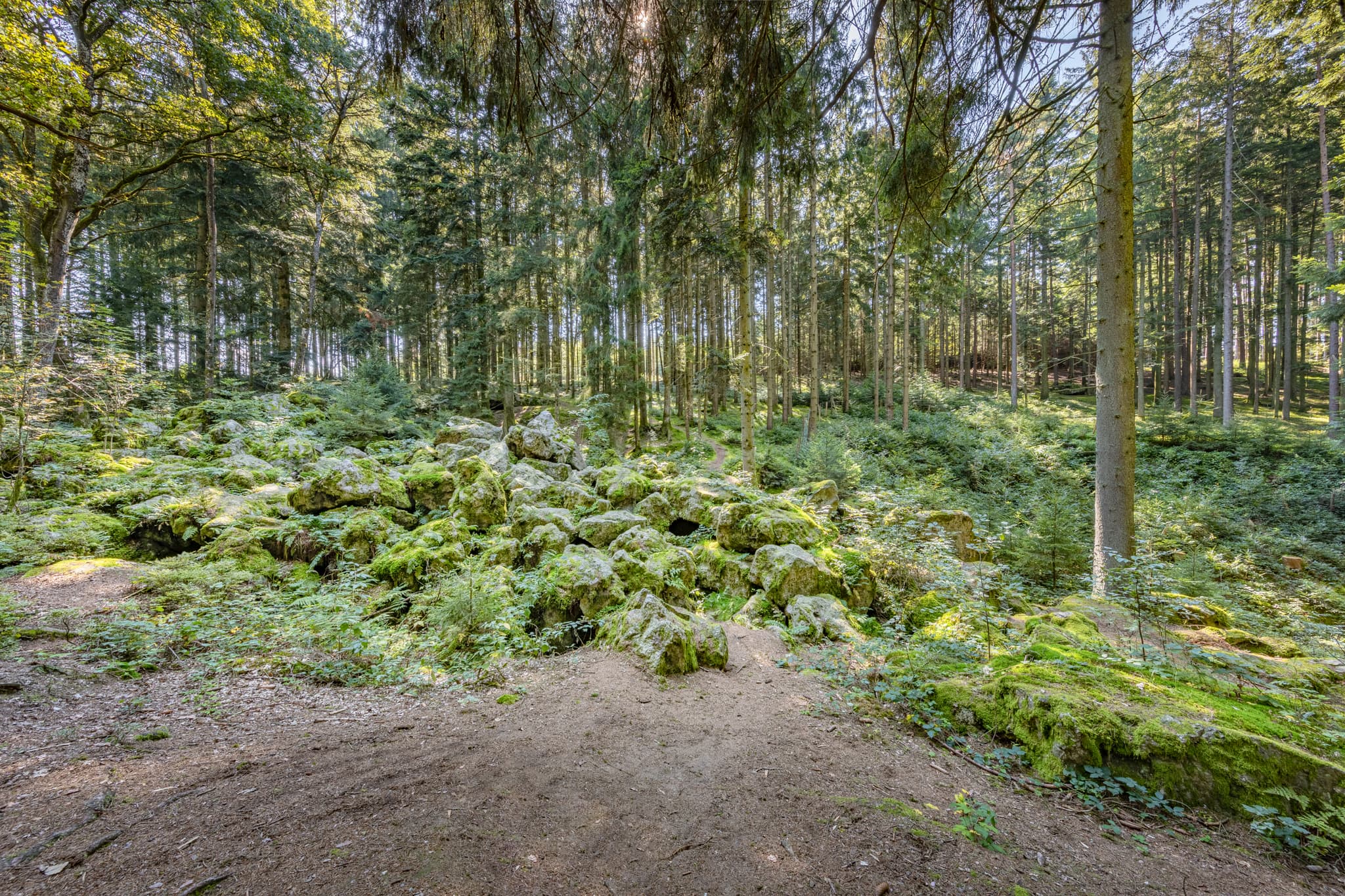 Geotop im Waldgebiet mit großen Geröll-Steinen aus der Eiszeit in Voglarn bei Triftern, Rottal-Inn, Niederbayern, Holzland, Bäderdreieck, Deutschland.