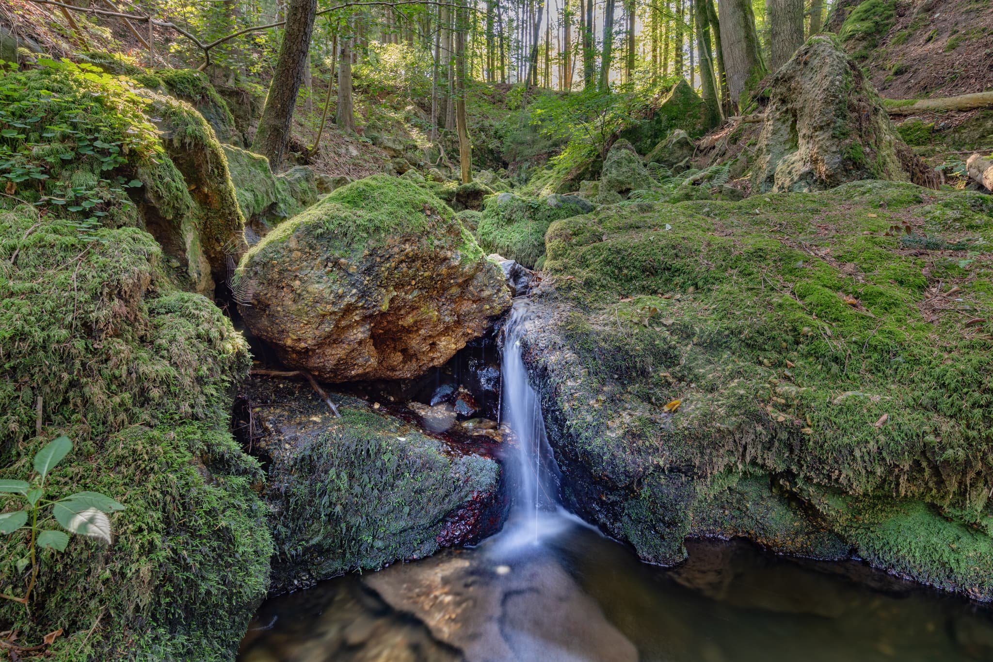 Bachlauf im Ameringer Graben bei Stubenberg, Rottal-Inn, Niederbayern, Holzland, Bayern, Deutschland.