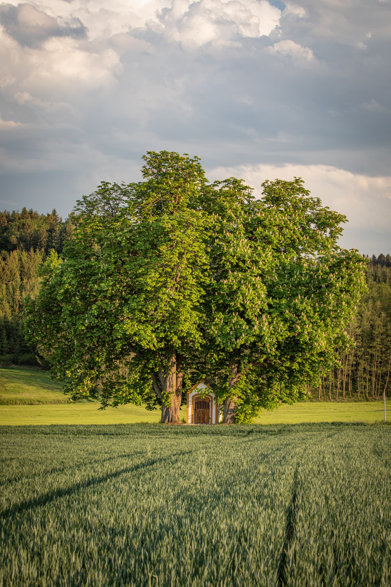 Bildstock Kastanien, Arbing, Ecking, Reischach, Altötting