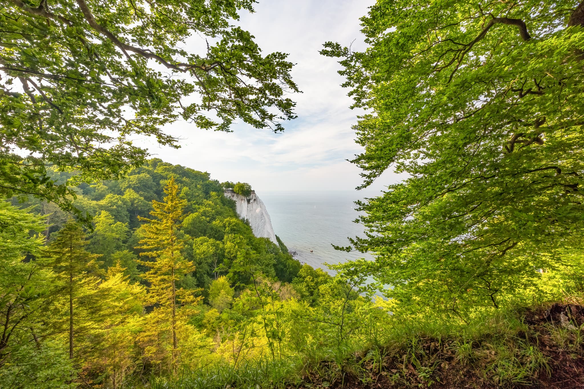 Blick von der Victoriasicht auf Rügen, Vorpommern-Rügen, Mecklenburg-Vorpommern. Zeigt den Königstuhl und die Ostsee, umgeben von Wald an der Ostseeküste.