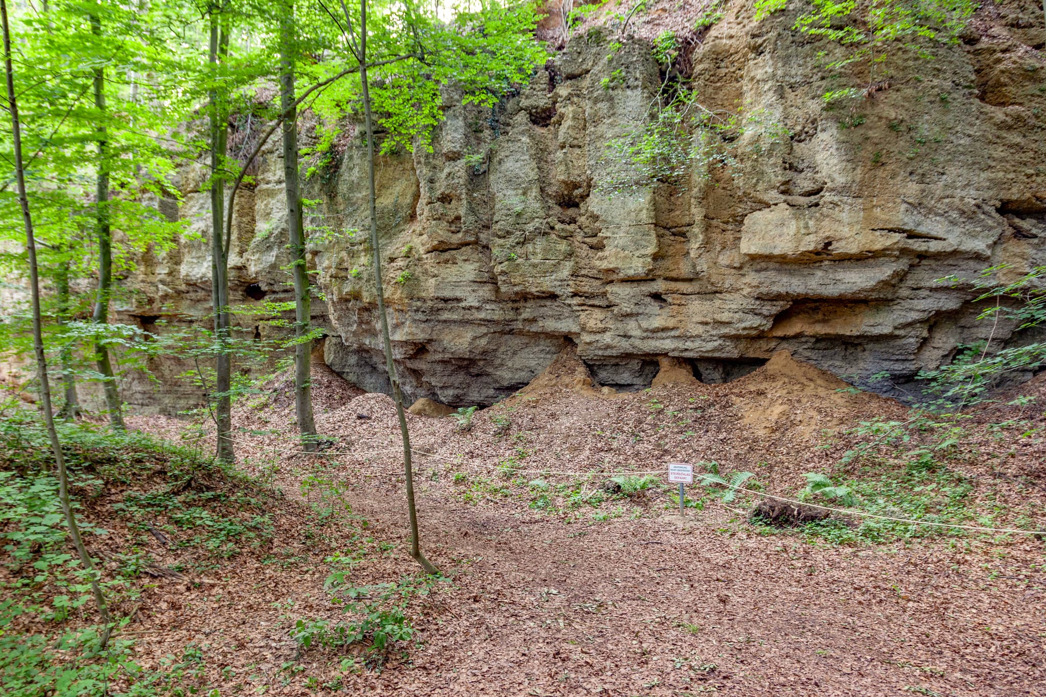 Geologische Orgeln Schroffen im Wald bei Oberschroffen, Unterneukirchen. Felsformationen im Landkreis Altötting, Oberbayern, Region Inn-Salzach, Deutschland.