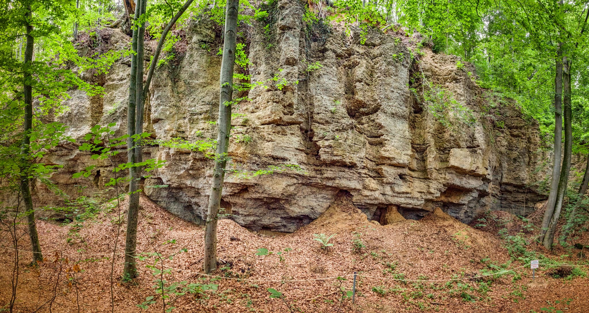 Felsformation der Geologischen Orgeln, umgeben von Wald, in Oberschroffen, Unterneukirchen, Landkreis Altötting, Oberbayern, Region Inn-Salzach, Deutschland.