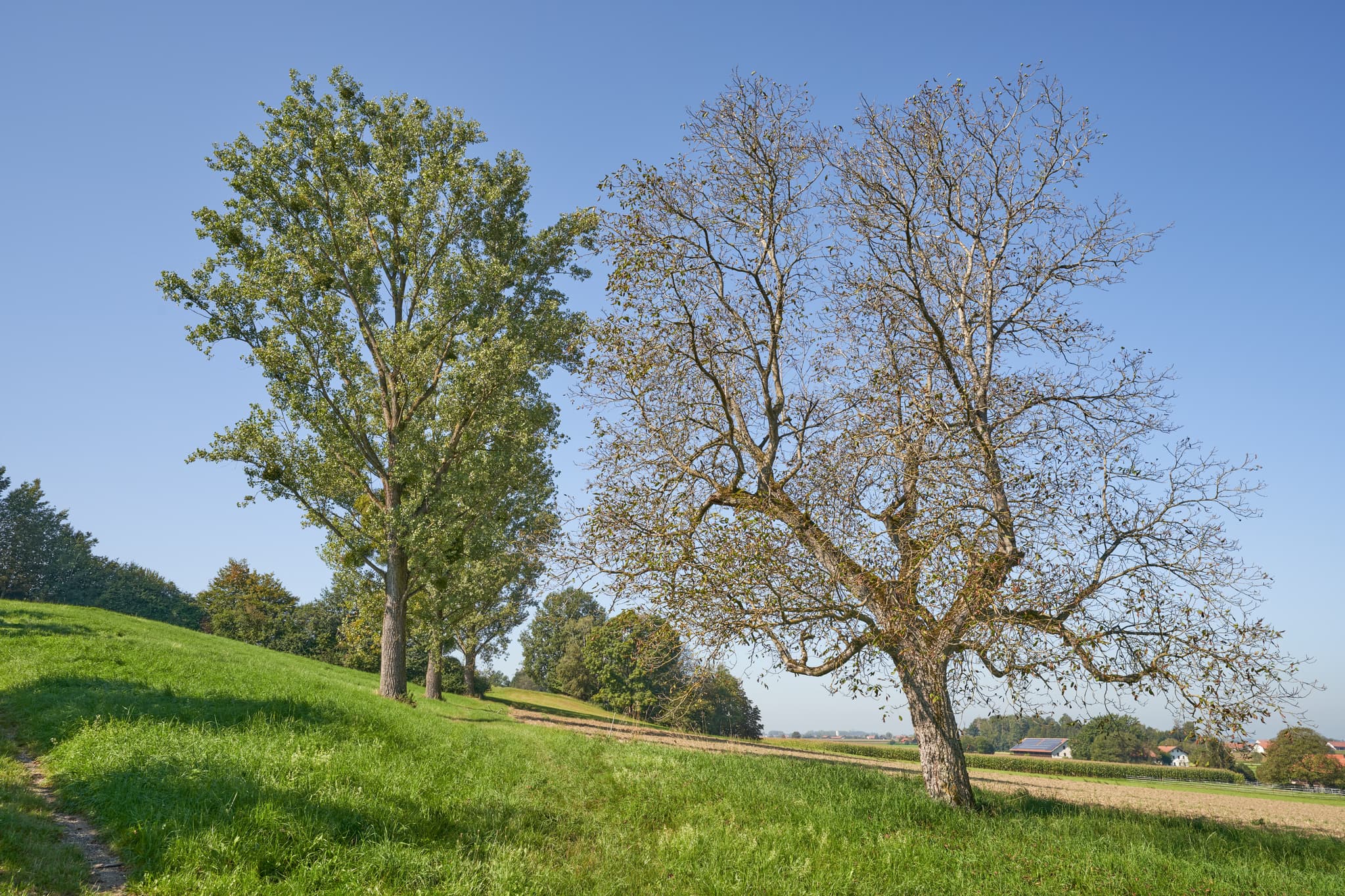 Landschaftsbild vom St.-Rupert-Pilgerweg Berger a. Brunn bei Kastl, Landkreis Altötting, Oberbayern. Felder in der Region Inn-Salzach, Deutschland.