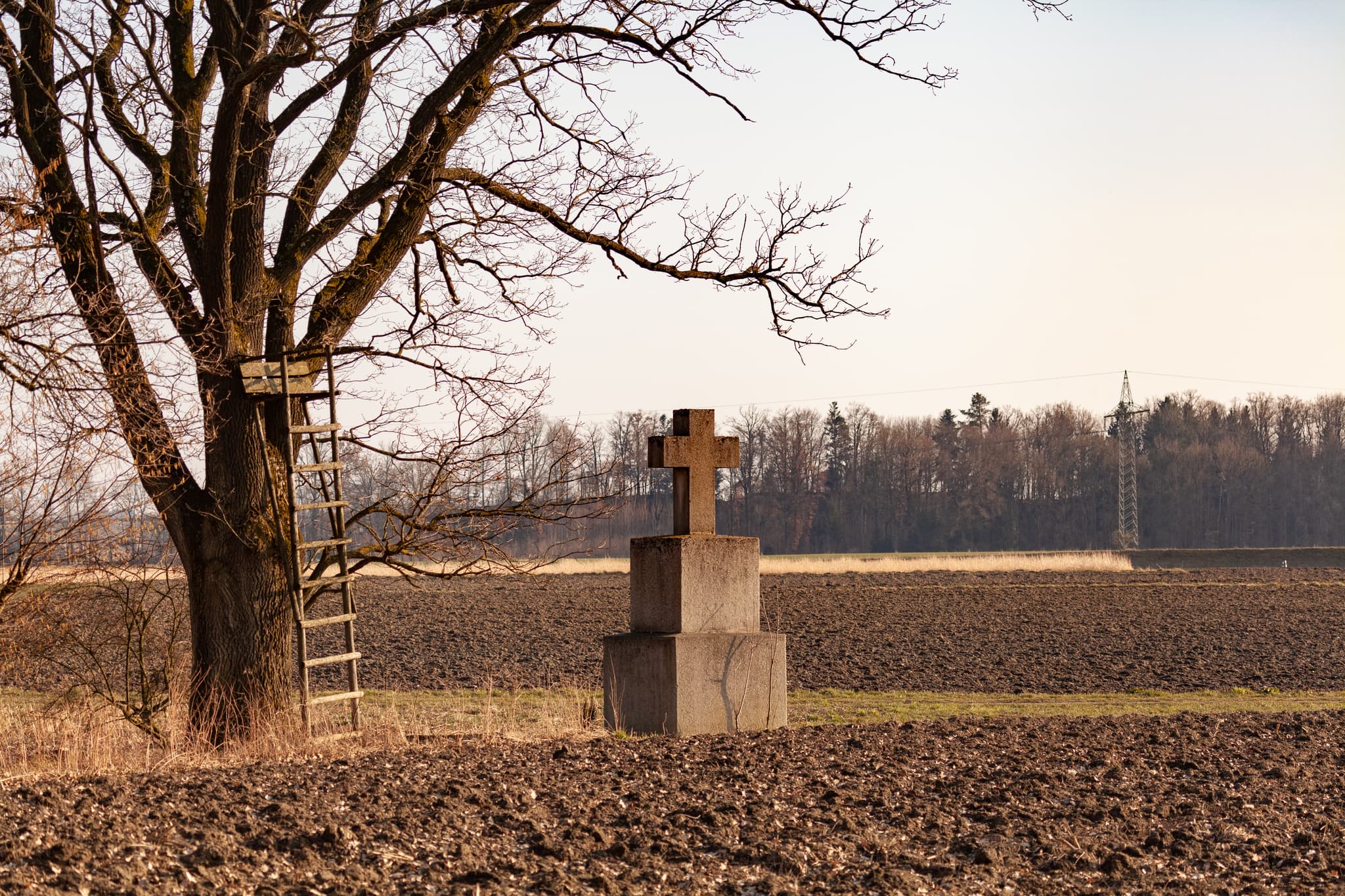 Steinernes Kreuz in Feldlandschaft von Unterholzhausen, Altötting, Landkreis Altötting. Oberbayern, Inn-Salzach. Baum mit Hochsitz, beackerte Felder.