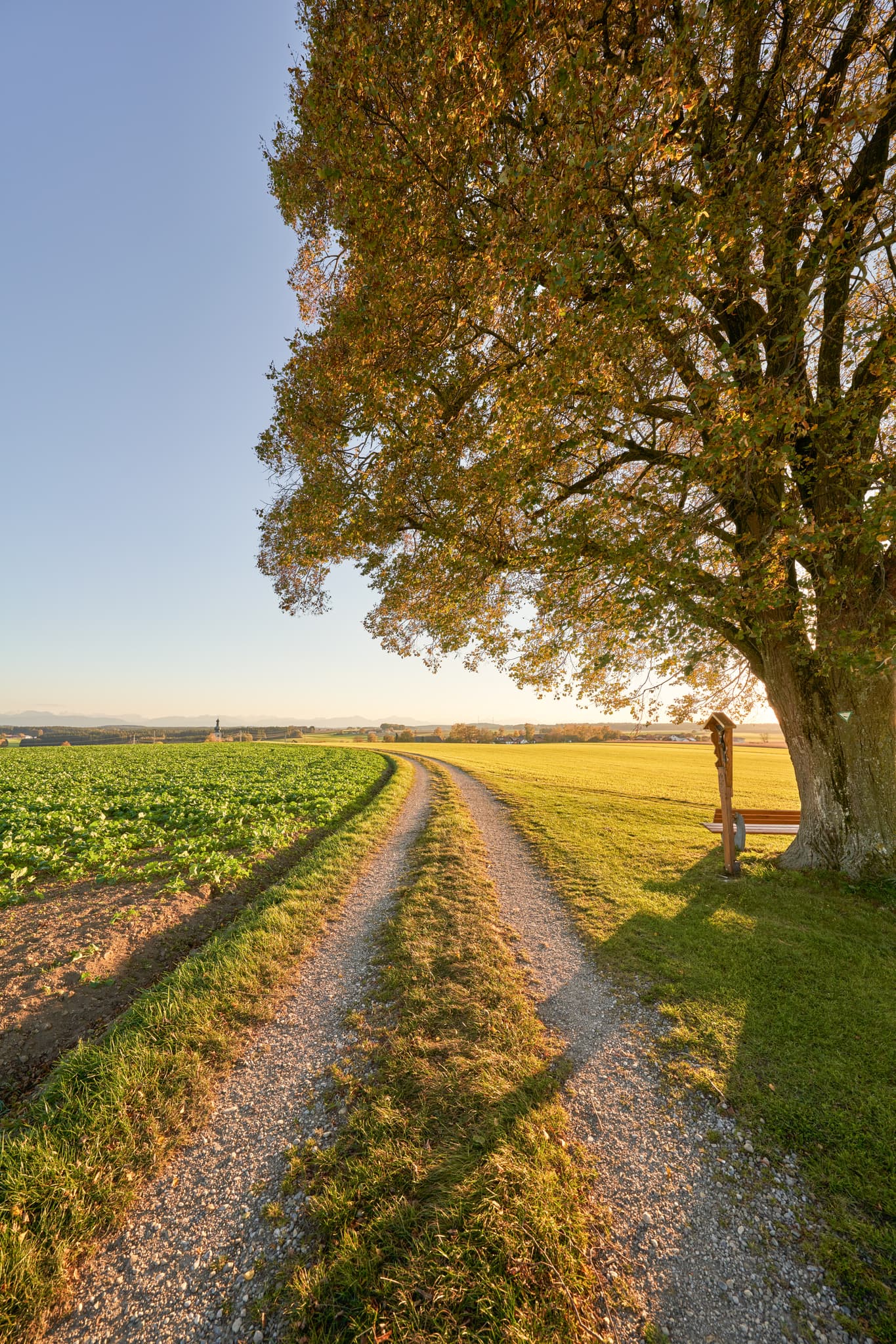 Feldweg in Rainbichl, Tyrlaching, Altötting, Oberbayern, Deutschland. Die Region Inn-Salzach zeigt eine weite Landschaft mit Feldern und Linde.