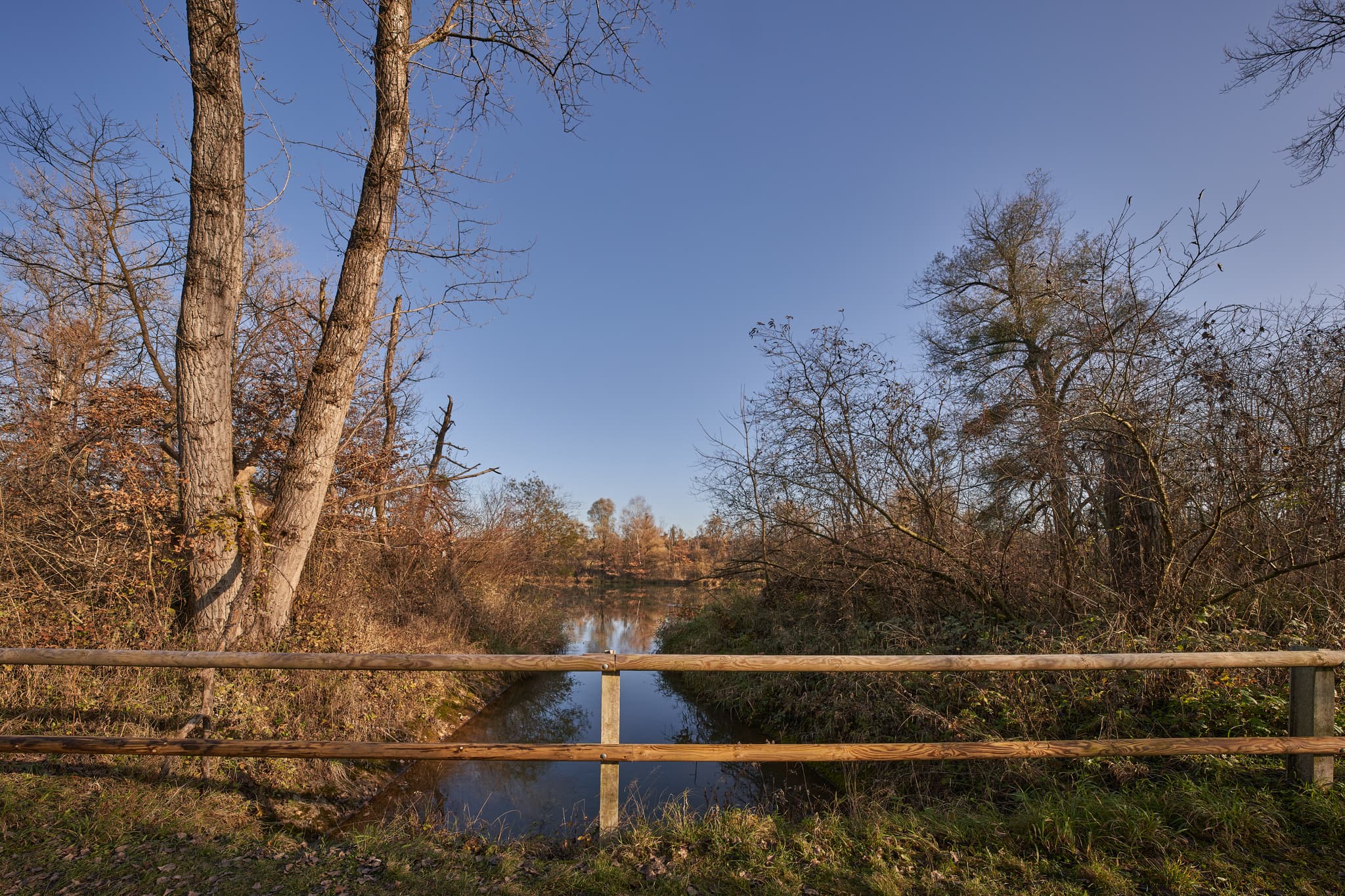 Brücke am Waldsee Lago bei Kirchdorf am Inn, Landkreis Rottal-Inn, Niederbayern. Ruhiger See, herbstliche Vegetation, Holzgeländer.