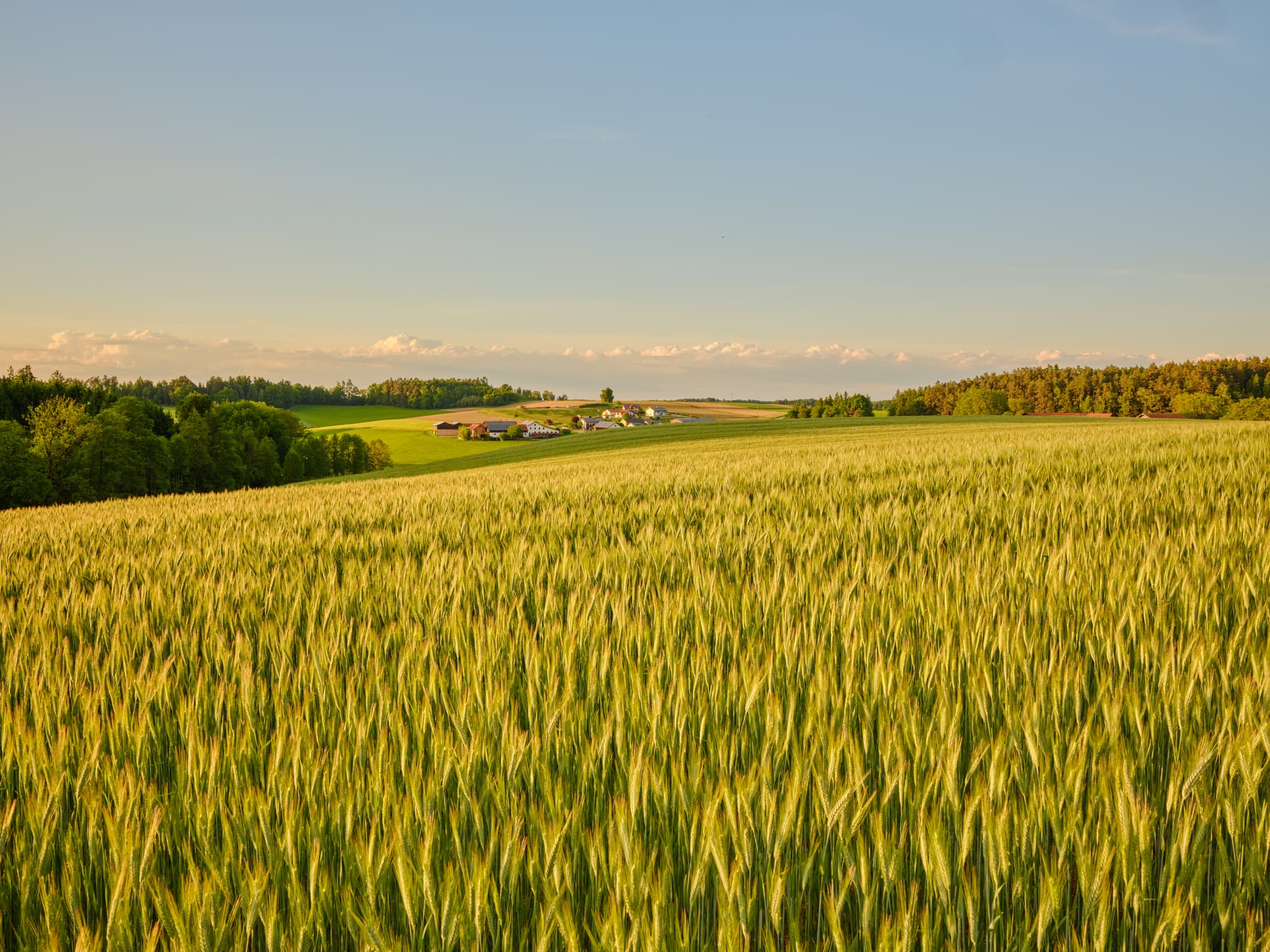 Weite Felder und ländliche Hügellandschaft bei Hirtl nach Eggersbach, Mitterskrichen, Landkreis Rottal-Inn, Niederbayern, Holzland, Deutschland.