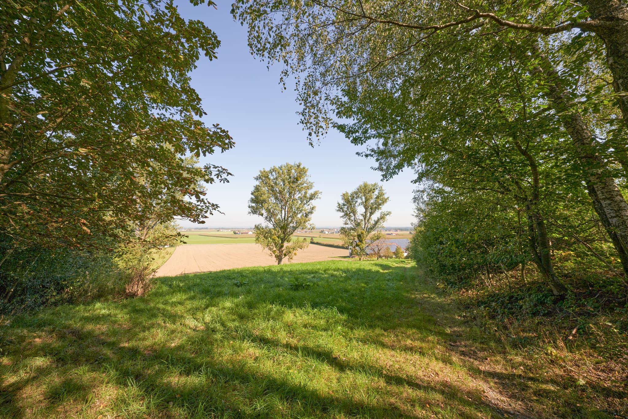 Landschaftsbild vom St.-Rupert-Pilgerweg Berger a. Brunn bei Kastl, Landkreis Altötting, Oberbayern. Felder in der Region Inn-Salzach, Deutschland.