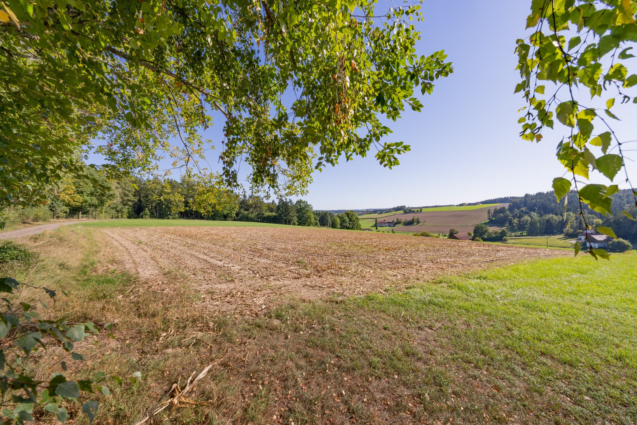 Landschaft Guteneck - Lapperding, Johanniskirchen, Rottal-Inn, Niederbayern. Ein weites Feld und Wälder im Bäderdreieck, Deutschland.