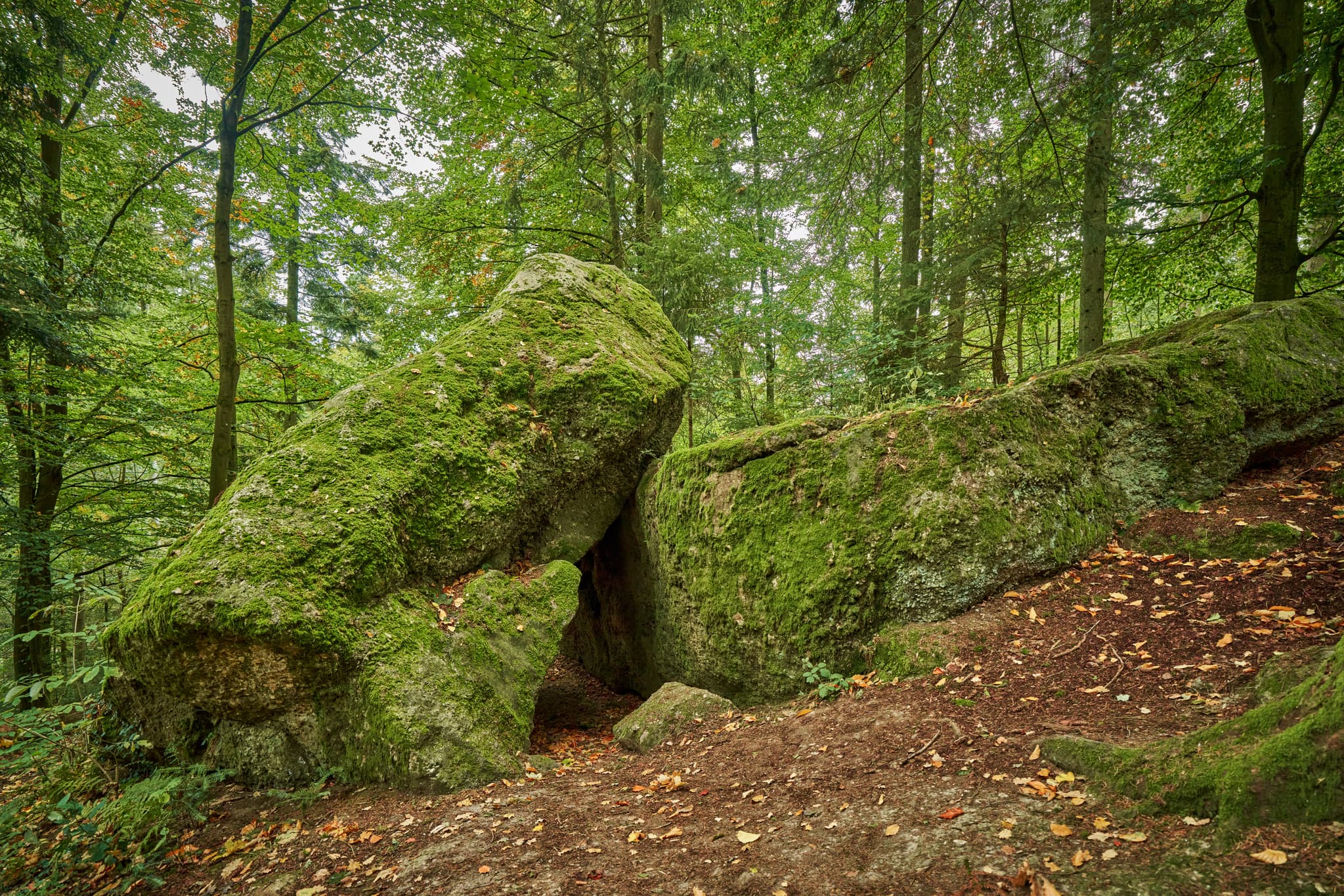 Teufelsstein in Bad Griesbach, Landkreis Passau, Niederbayern, Bayern, Deutschland. Das Bild zeigt Details der Felsstrukturen mit Farbreste.