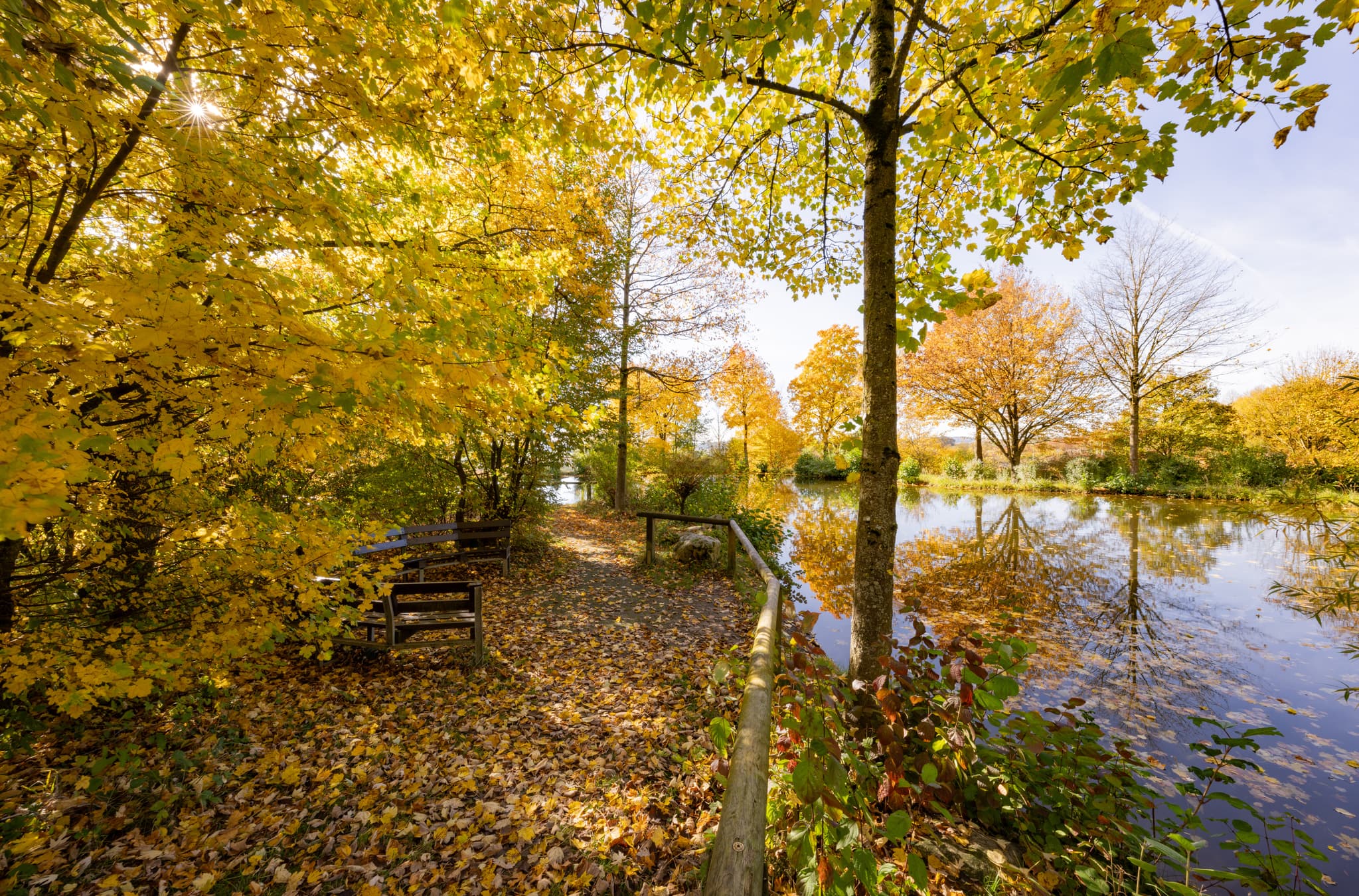 Kurpark in Bad Griesbach im Rottal, Landkreis Passau, Niederbayern, Deutschland. Farbenprächtiger Herbst mit See und goldener Laubfärbung.