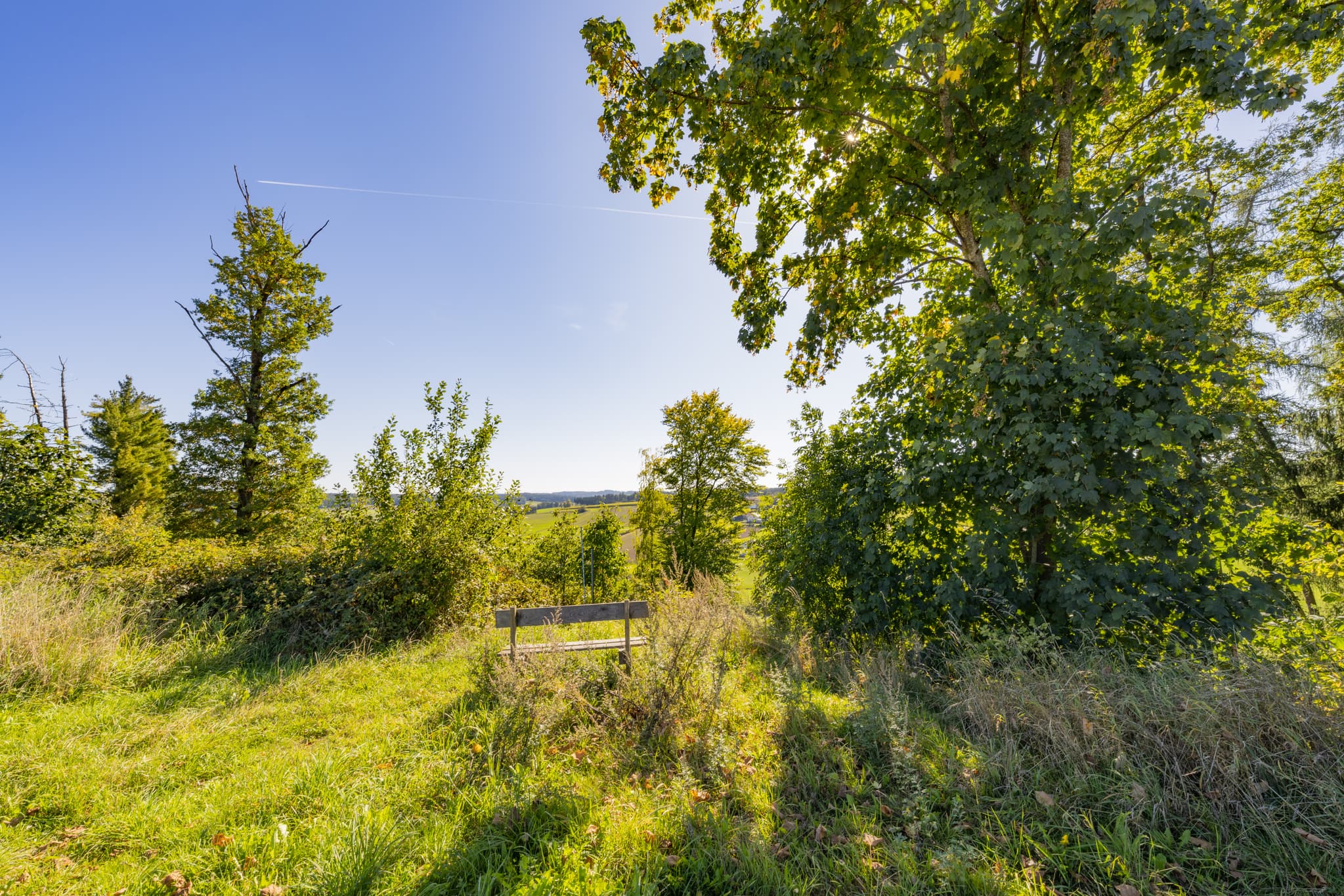 Landschaft mit Rastbank am Wanderweg 2 bei Guteneck, Johanniskirchen, Rottal-Inn, Niederbayern, Bäderdreieck in Deutschland bietet grüne Hügel und Erholung.