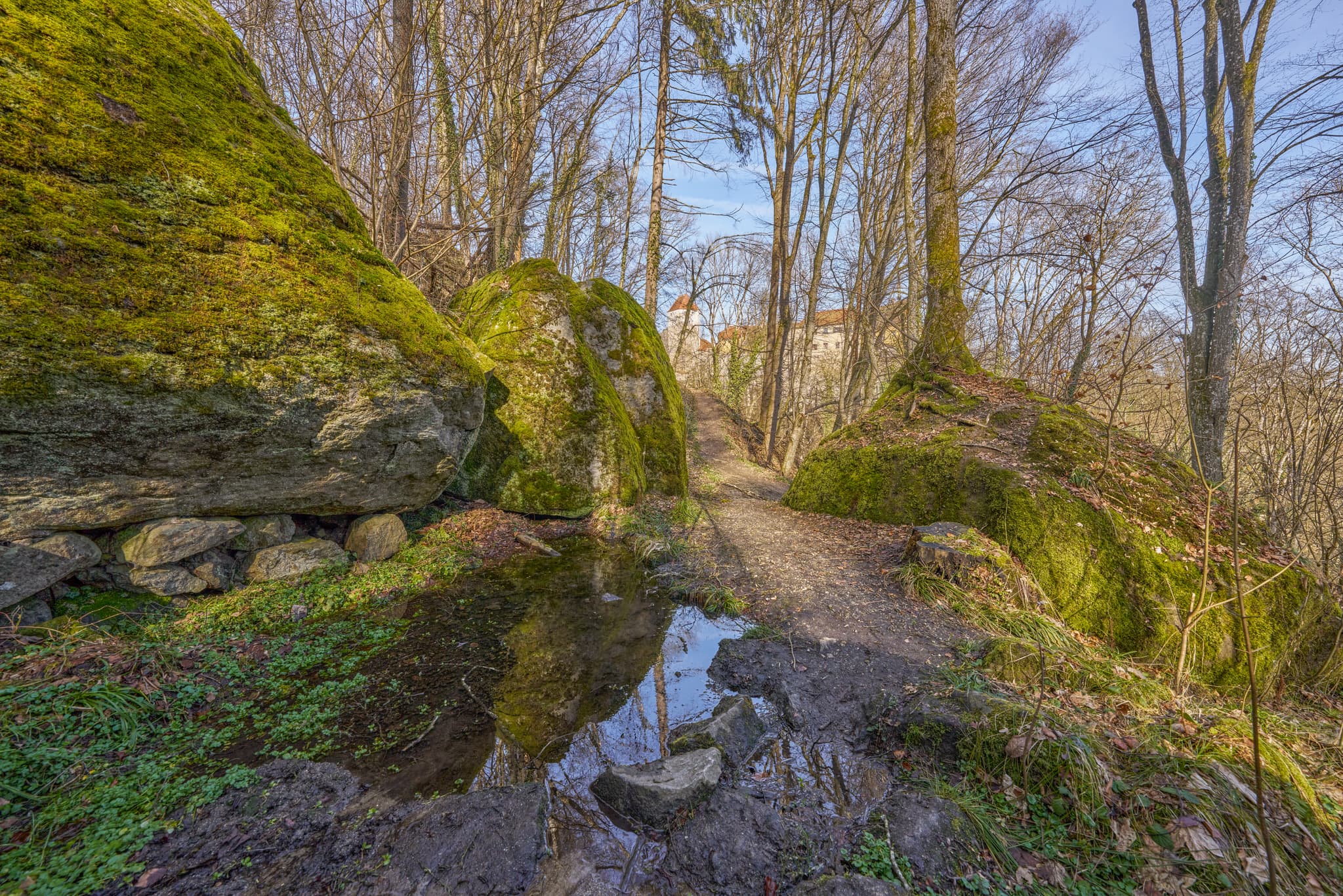 Waldpfad führt zu Schloss Neuburg am Inn. Moosbedeckte Felsen säumen den Weg. Schloss im Hintergrund, Landkreis Passau, Niederbayern, Donau-Wald, Deutschland.