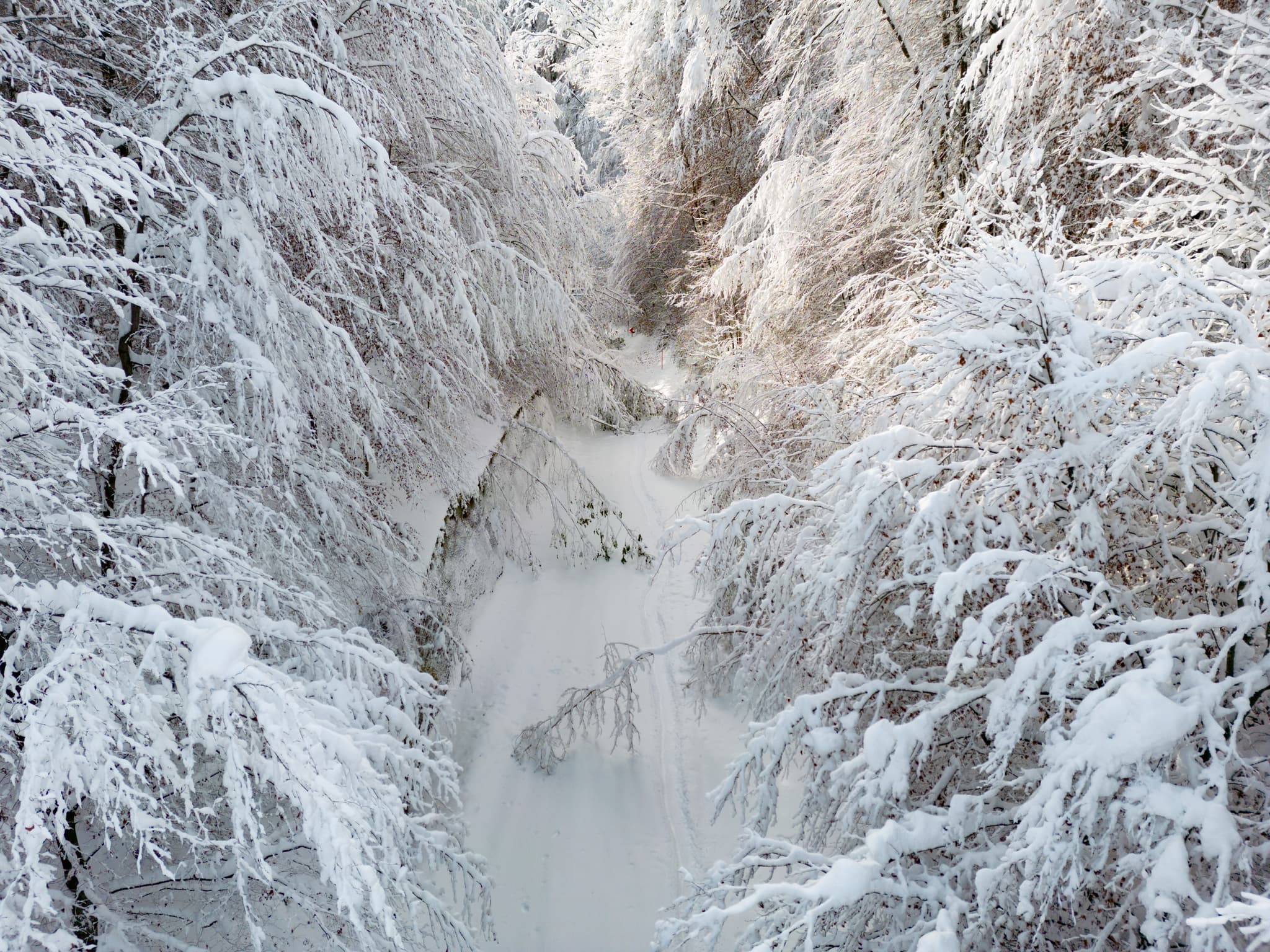 Winterliches Luftbild von Marktl am Inn nach einem Schneebruch am Bruckberg in Oberbayern, Inn-Salzach Region, Deutschland. Eindrucksvolle Schneelandschaft.