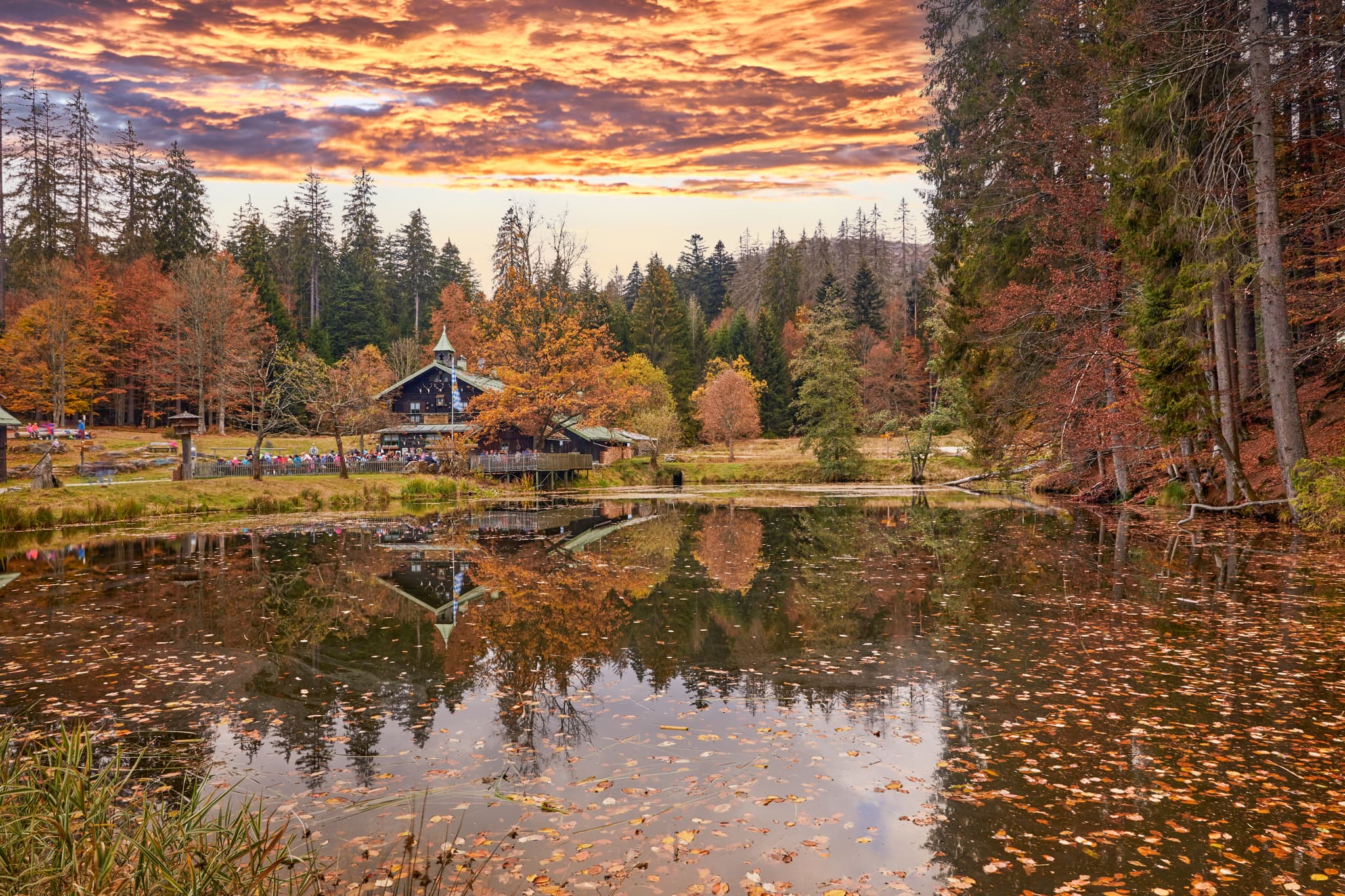 Herbstliche Landschaft am Hans-Watzlik-Hain Schwellhäusl, Regen, Niederbayern. Ein idyllischer See im Bayerischen Wald, Deutschland, mit Wald und Gebäude.