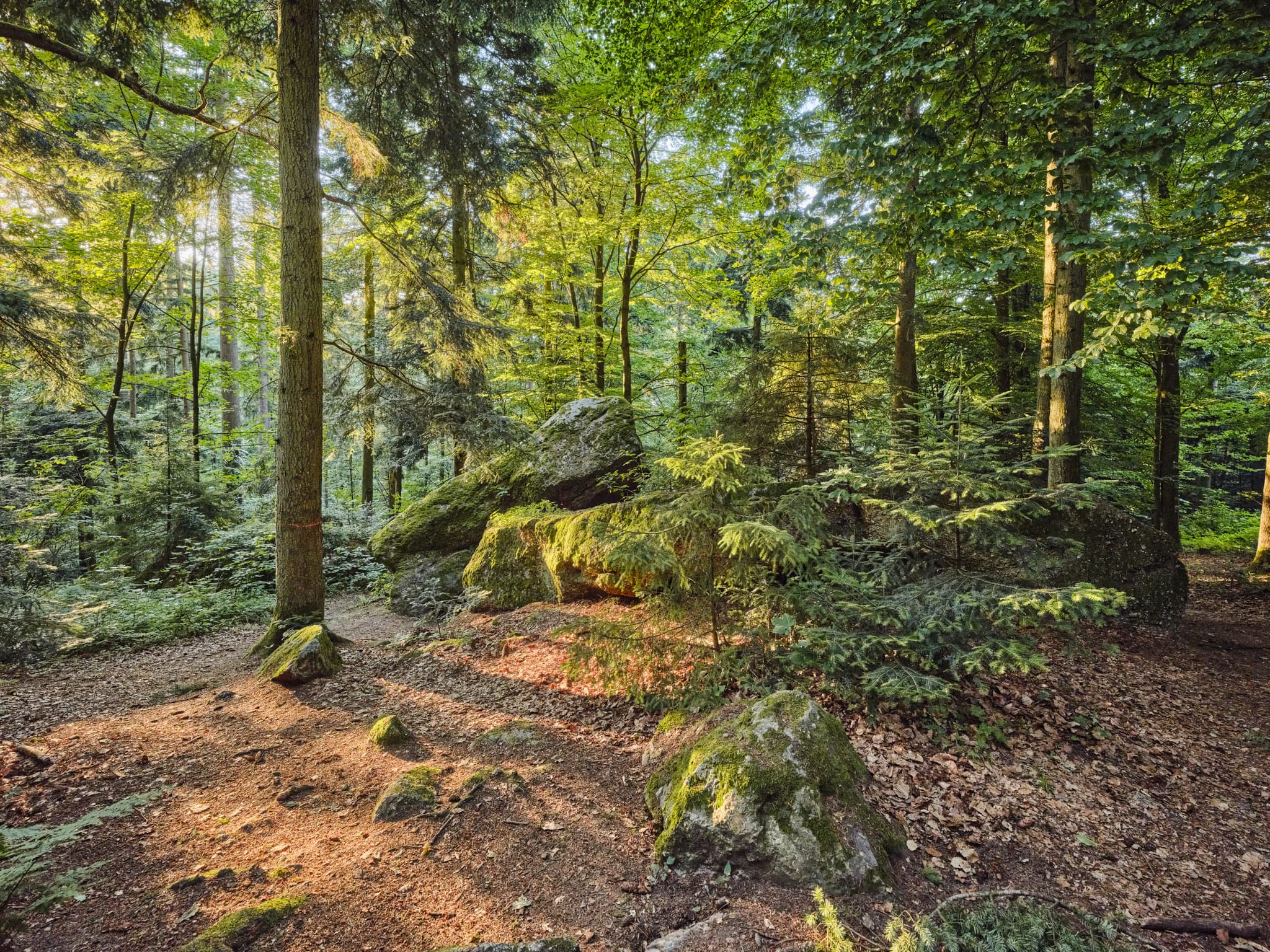 Teufelsfelsen in Bad Griesbach, Landkreis Passau, Niederbayern, Deutschland. Darstellung auf Felsen.