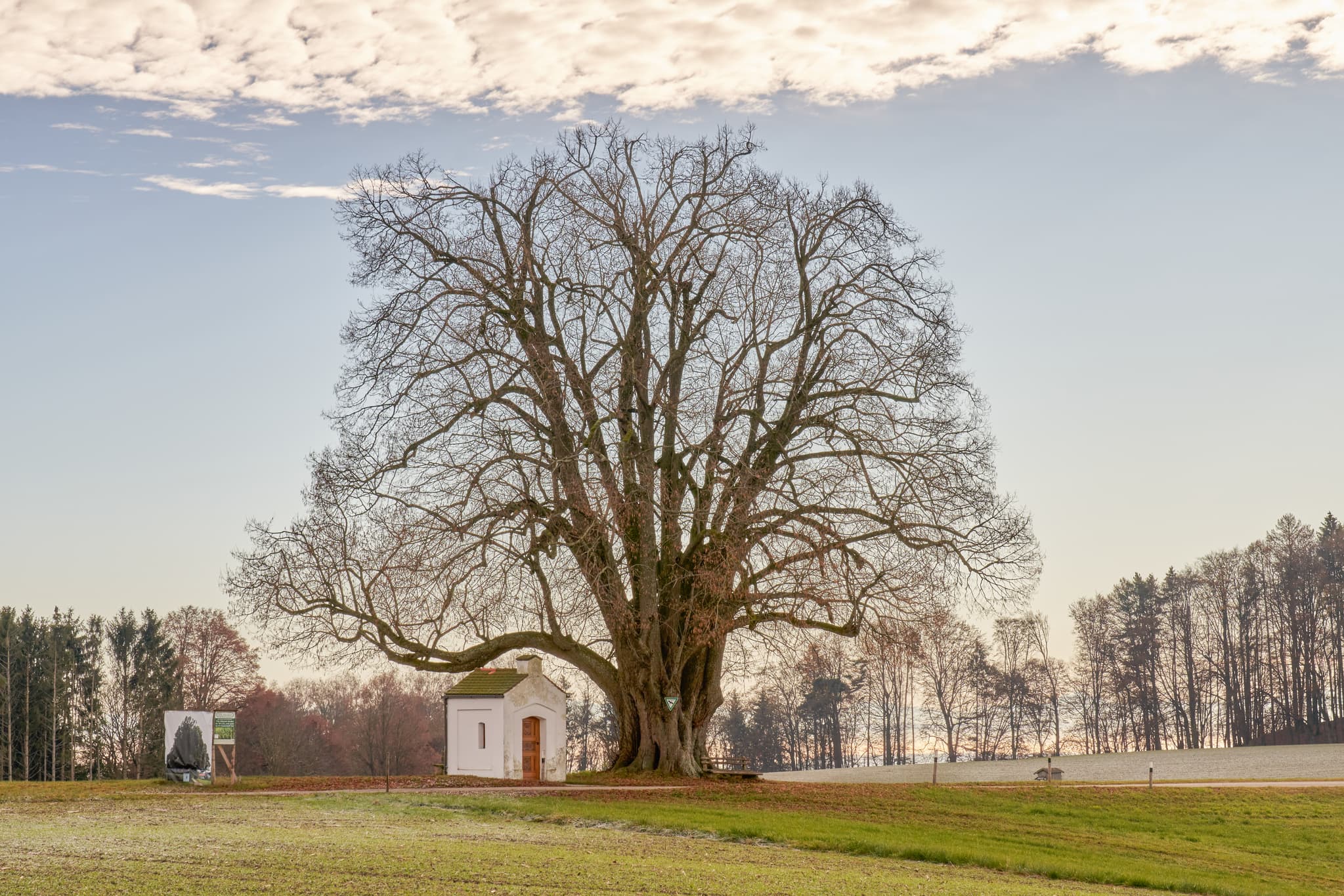 Malerische Kapellenlinde und kleine Kapelle in Schmidhub, Perach, Landkreis Altötting, Oberbayern. Typische Landschaft der Inn-Salzach Region in Deutschland.