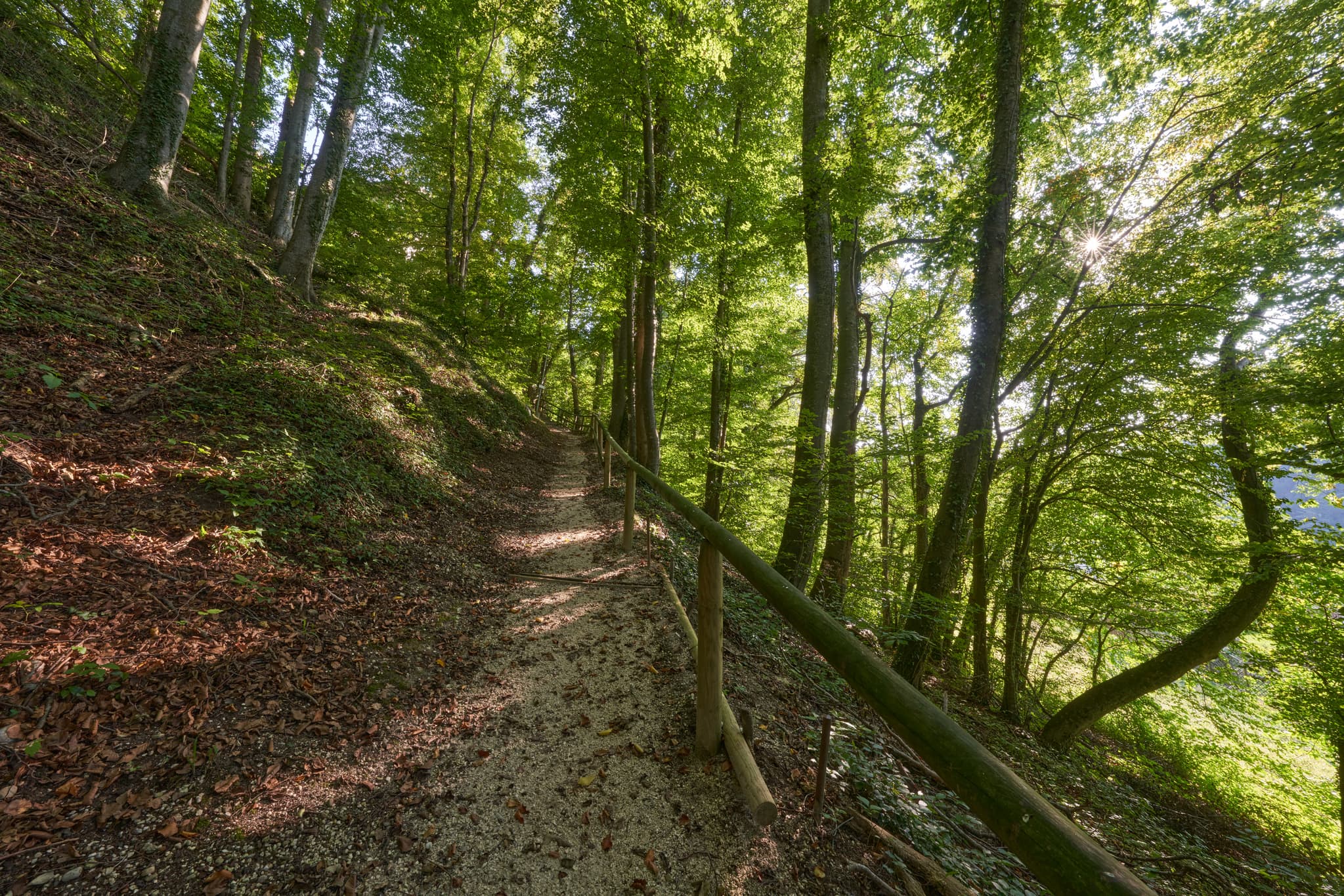 Pfad des St.-Rupert-Pilgerwegs in Margarethenberg, Burgkirchen, Altötting, Oberbayern, Inn-Salzach, Deutschland.