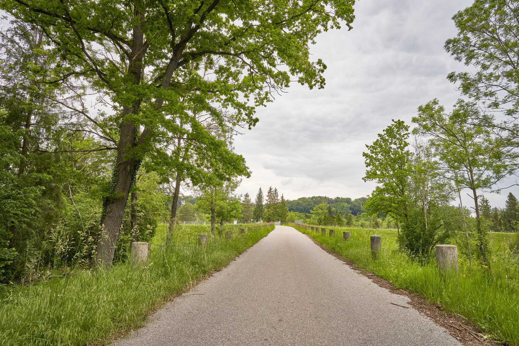 Weg in Gufflham, Burgkirchen, Altötting, Oberbayern, zum Alzkanal führend. Grüne Landschaft Inn-Salzach, Deutschland, mit Bäumen, Wiesen und bewölktem Himmel.