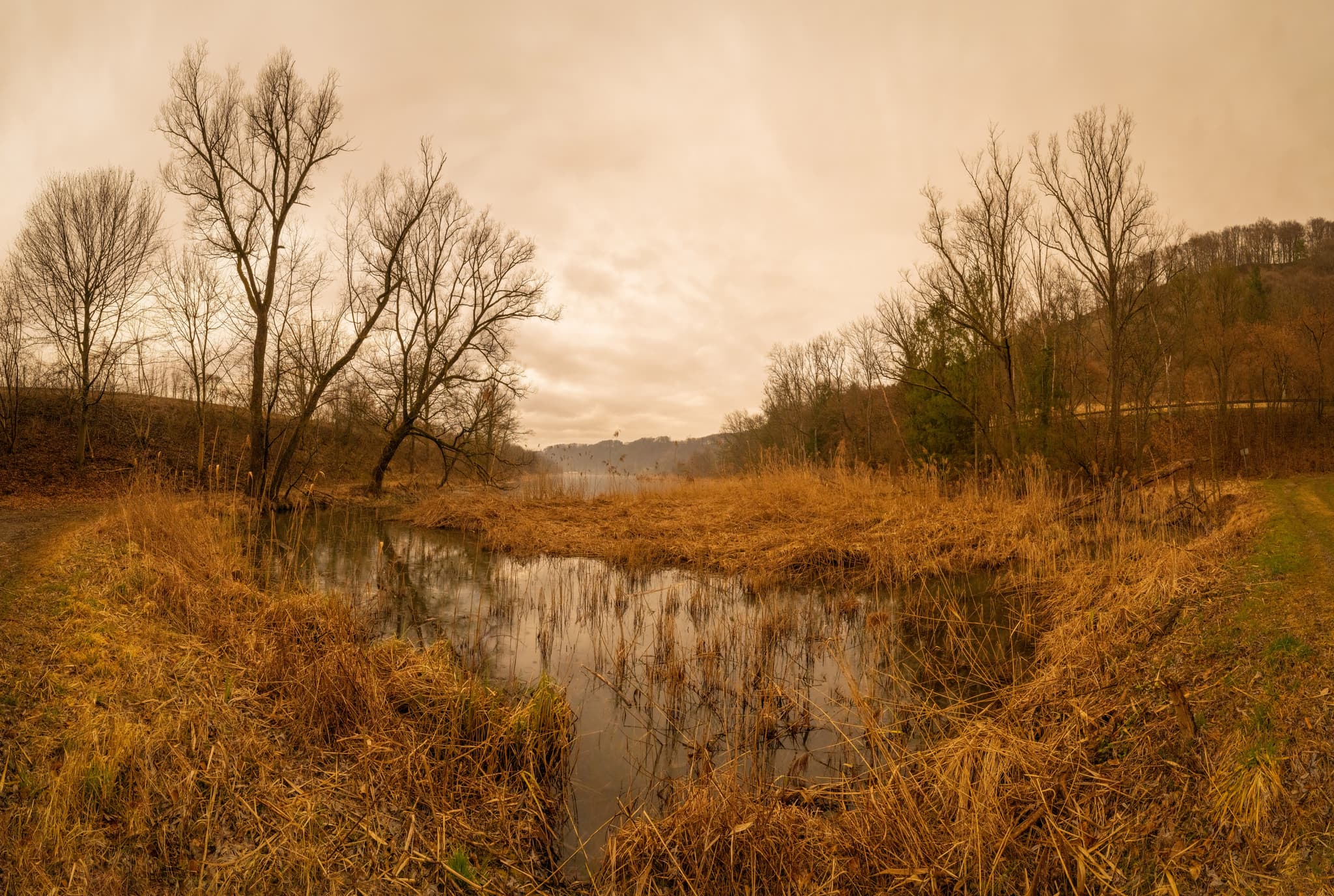 Panorama vom Marktler Badesee bei Marktl, Altötting, Oberbayern. Landschaft mit trockenem Schilf, Bäumen und Saharastaub-Himmel. Inn-Salzach, Deutschland.