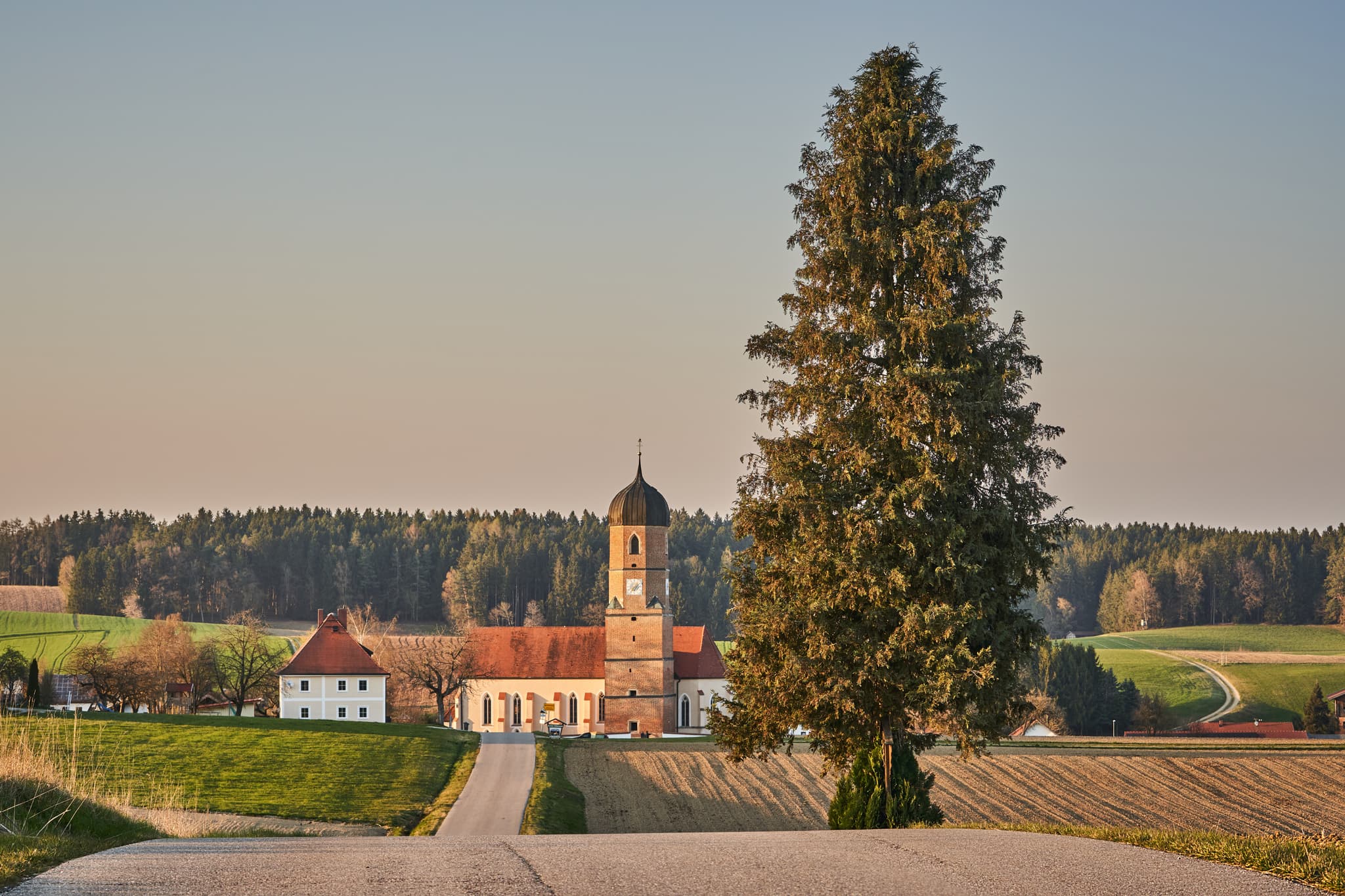 Markannter Baum vor Kirche in Martinskirchen bei Wurmannsquick, Landkreis Rottal-Inn. Ländliche Landschaft des Holzland in Niederbayern, Deutschland.