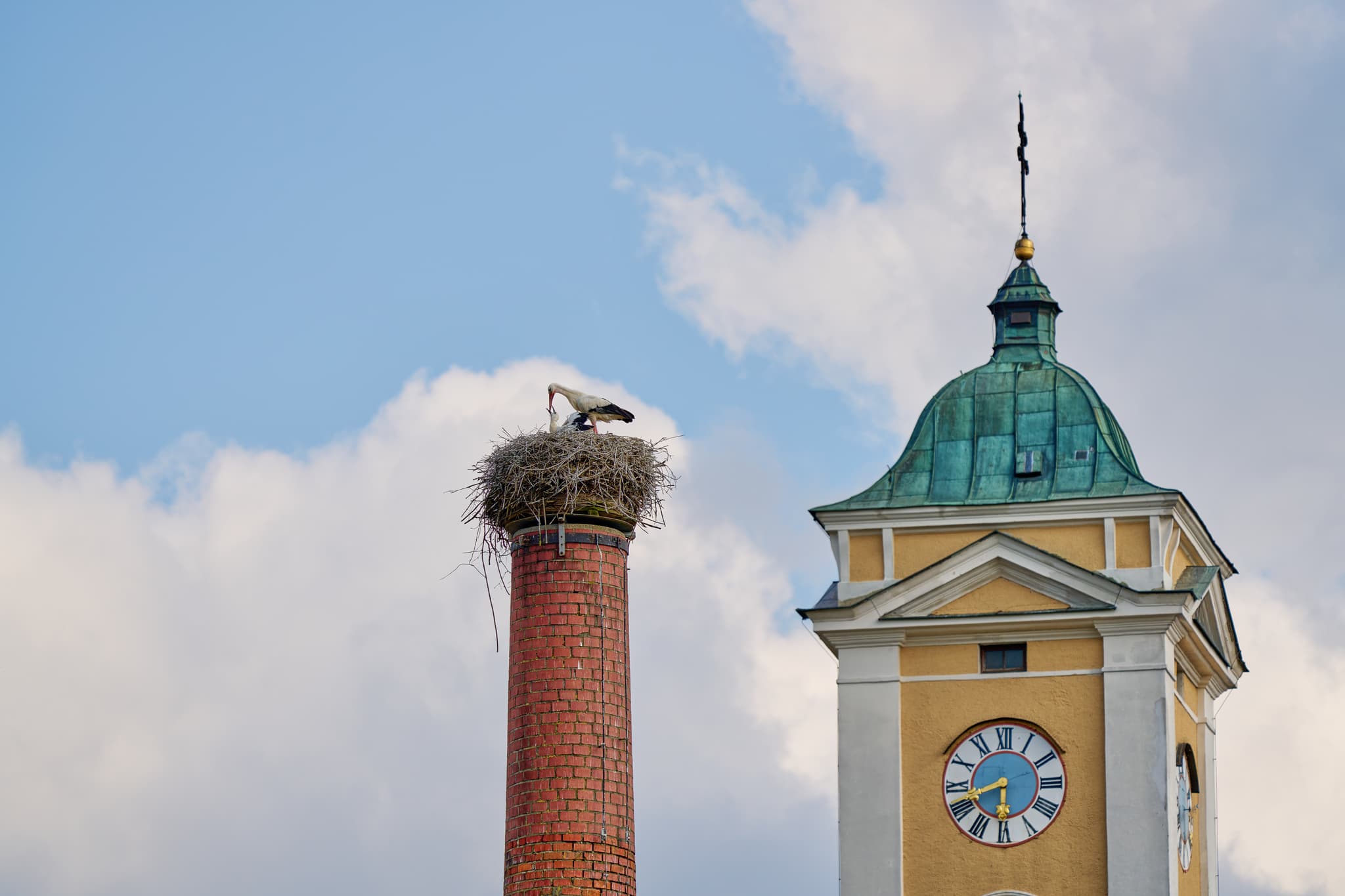 Storch in Nest auf dem Graf Arco Turm in Bad Birnbach, Rottal-Inn, Niederbayern. Nebenan ein Kirchturm mit Uhr. Motiv im Bäderdreieck, Deutschland.