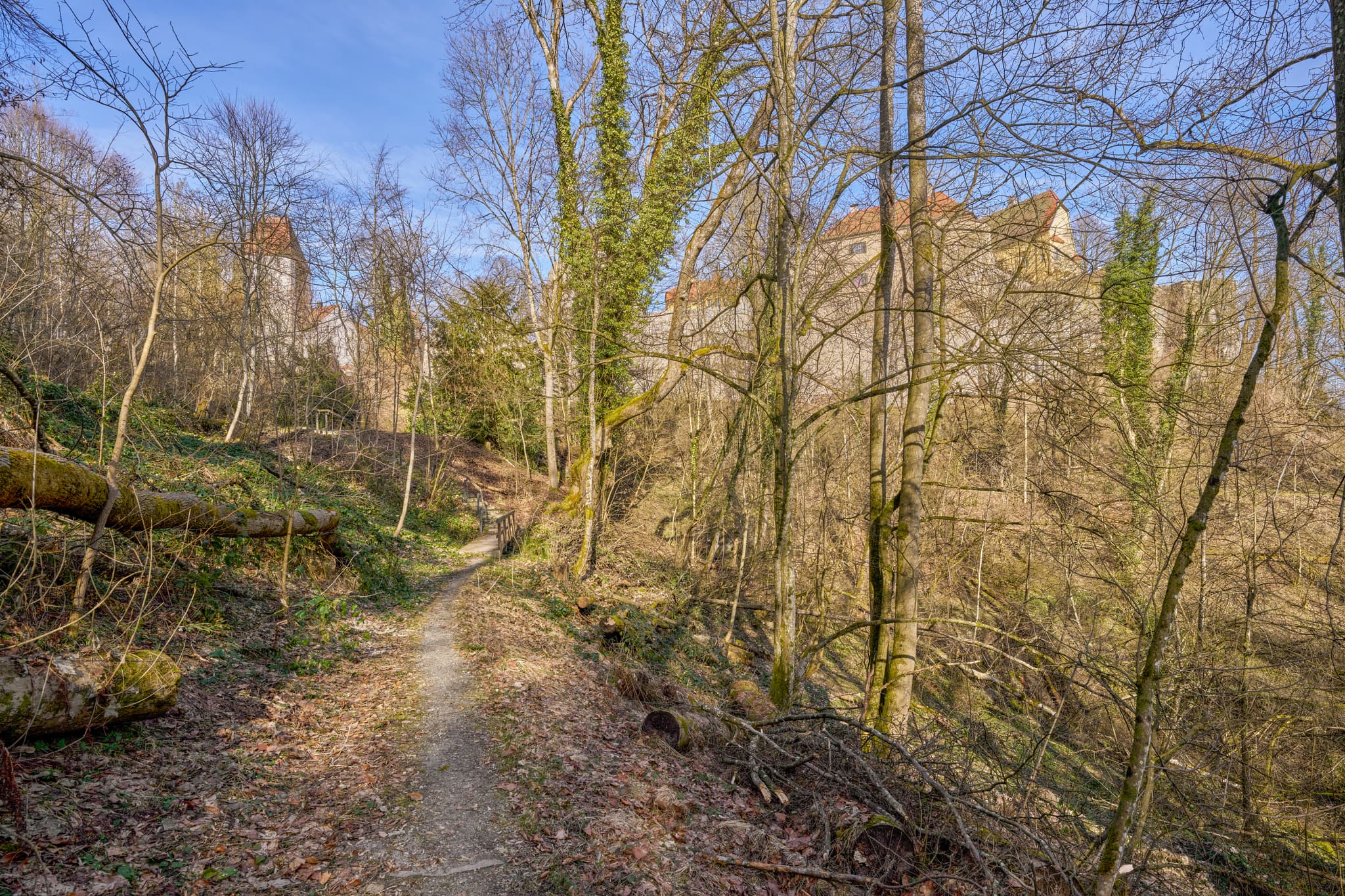 Wandern um Schloss Neuburg in Neuburg am Inn, Landkreis Passau, Niederbayern, Donau-Wald. Ein Waldweg führt durch die bewaldete Landschaft. Deutschland.