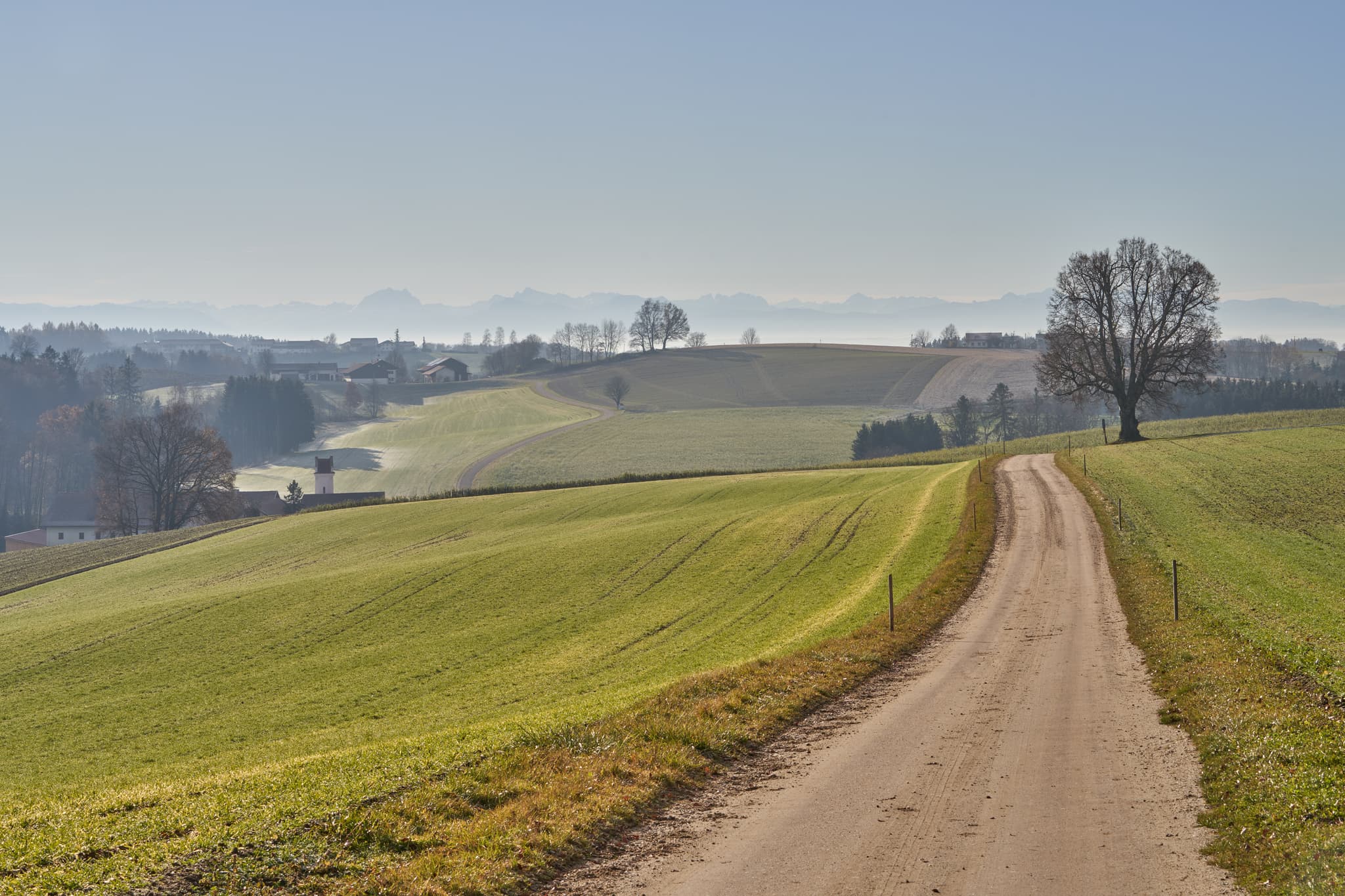 Hügellandschaft mit Weg und Feldern bei Birnbach, Ortsteil Erlbach, Landkreis Altötting, Oberbayern. Inn-Salzach, Deutschland, bietet malerischen Fernblick.