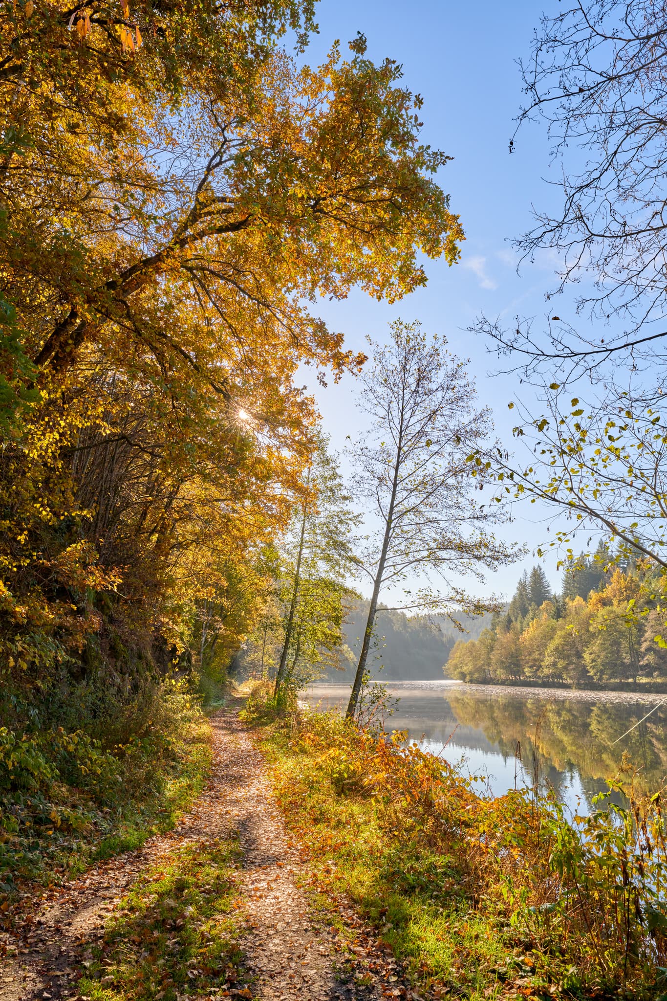 Wanderweg entlang des Schwarzen Regens im Herbst, bei Gumpenried-Asbach, Geiersthal. Flusslandschaft im Landkreis Regen, Niederbayern, Bayerischer Wald.