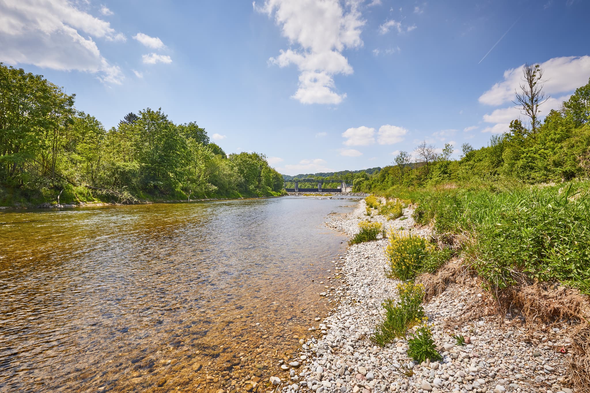Idyllischer Alz Radweg entlang des klaren Flusses Alz bei Burgkirchen-Hirten, Altötting, Oberbayern, Inn-Salzach. Die Landschaft zeigt Grün und Kiesufer.