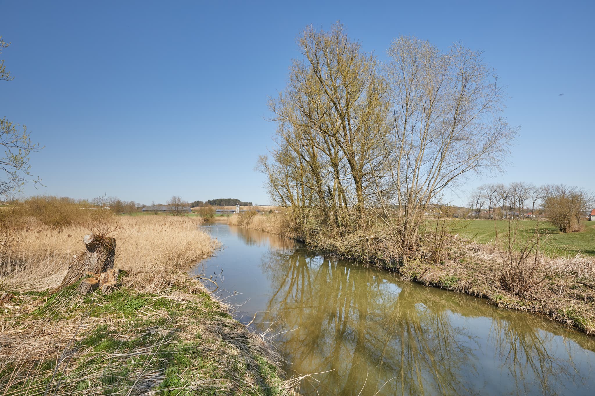Seitenarm der Rott bei Unterdietfurt, Landkreis Rottal-Inn, Niederbayern. Flusslandschaft im Holzland, Deutschland, mit Schilf und Bäumen unter blauem Himmel.