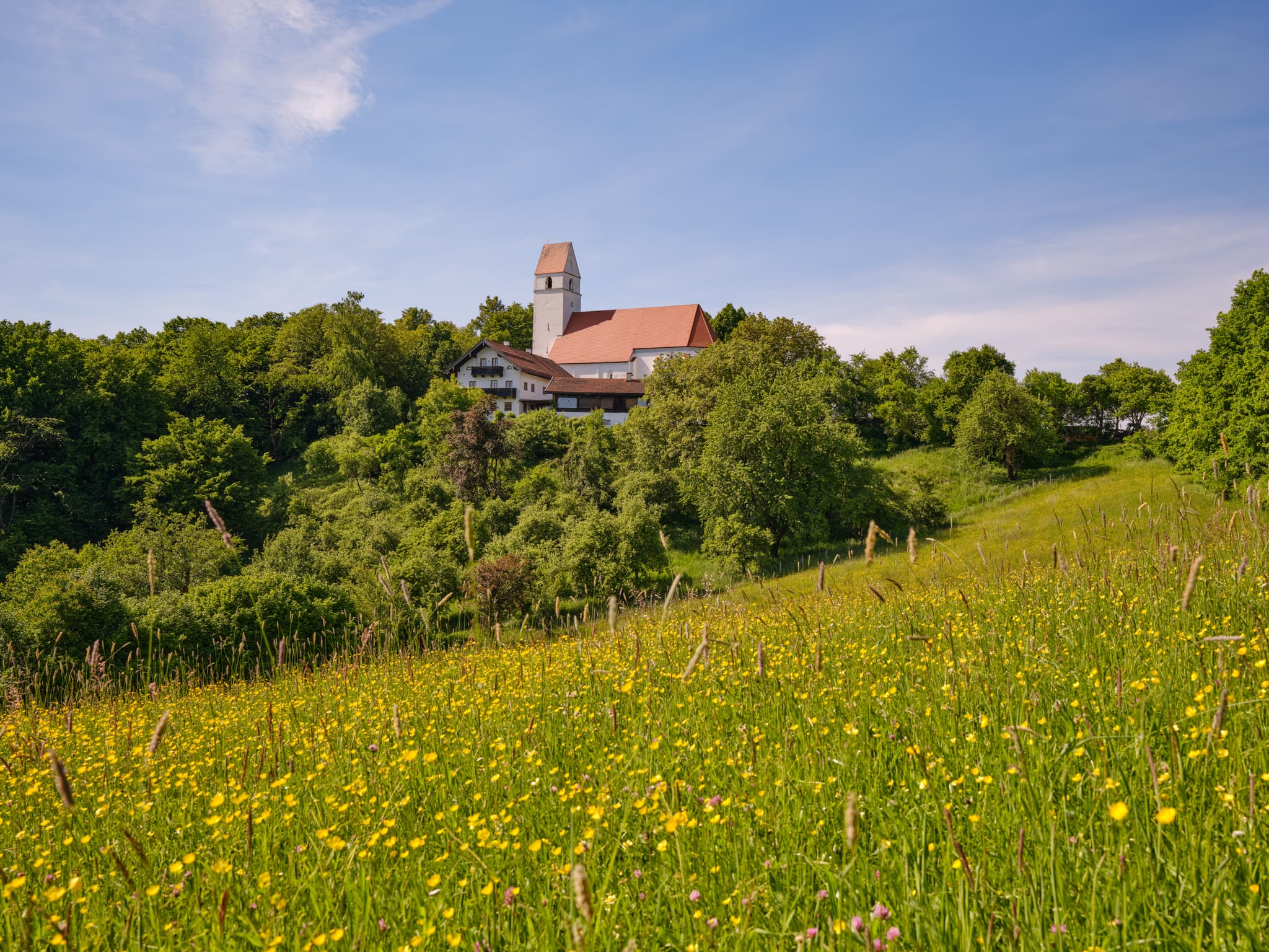 Kirche in Steinhausen, Landkreis Altötting, Oberbayern, Region Inn-Salzach, Deutschland. Die Kirche steht auf einem Hügel umgeben von blühenden Feldern.