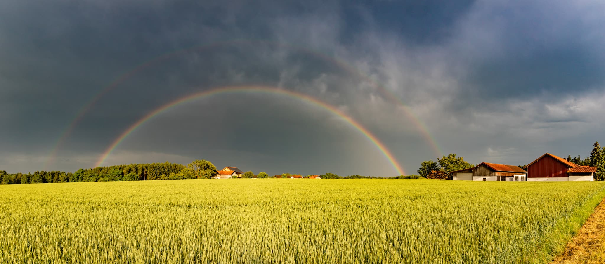 Regenbogen über einem Getreidefeld bei Amering, Stubenberg, Landkreis Rottal-Inn, Niederbayern, Region Holzland, Bäderdreieck, Deutschland.