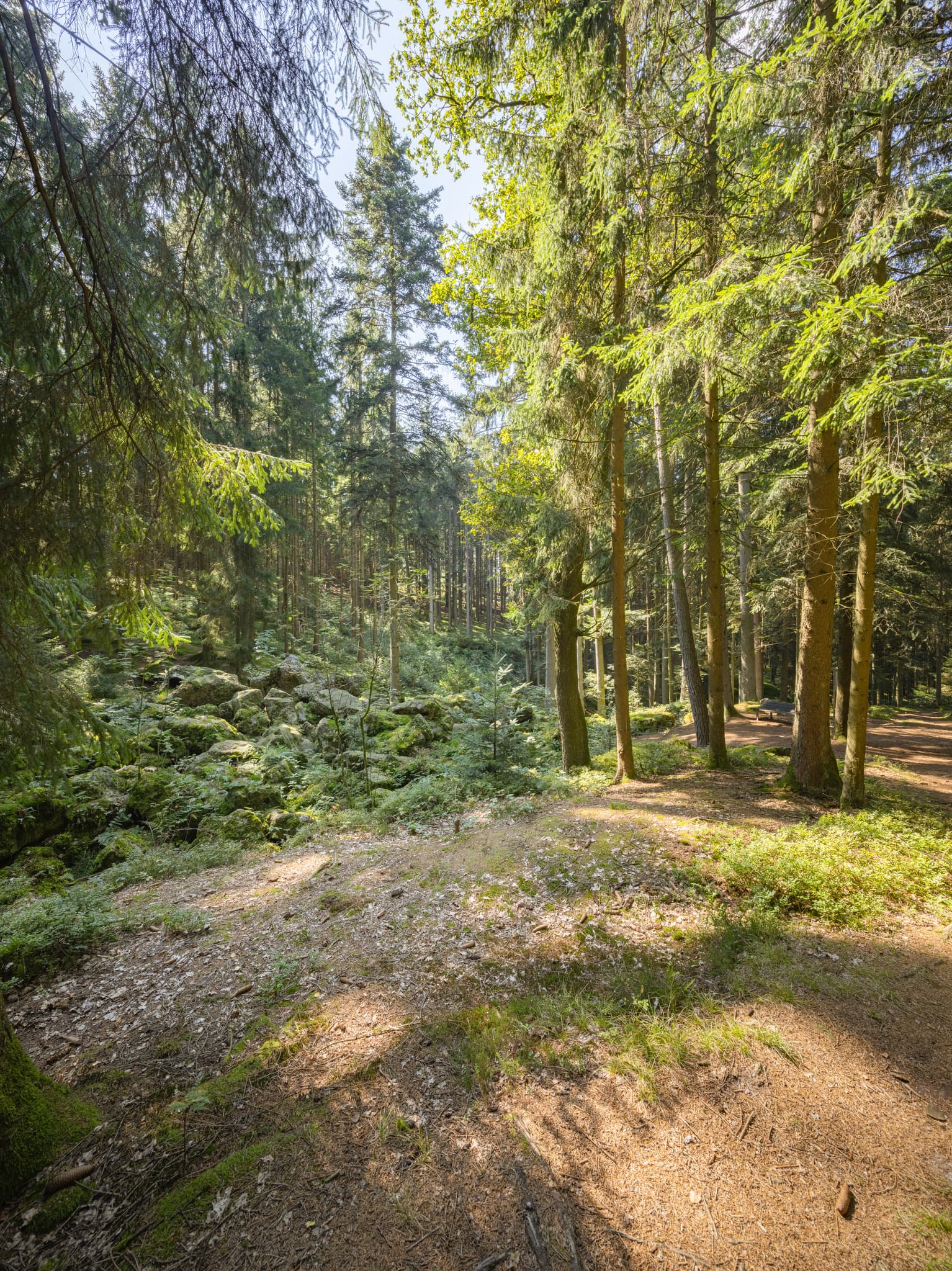 Geotop im Waldgebiet mit großen Geröll-Steinen aus der Eiszeit in Voglarn bei Triftern, Rottal-Inn, Niederbayern, Holzland, Bäderdreieck, Deutschland.