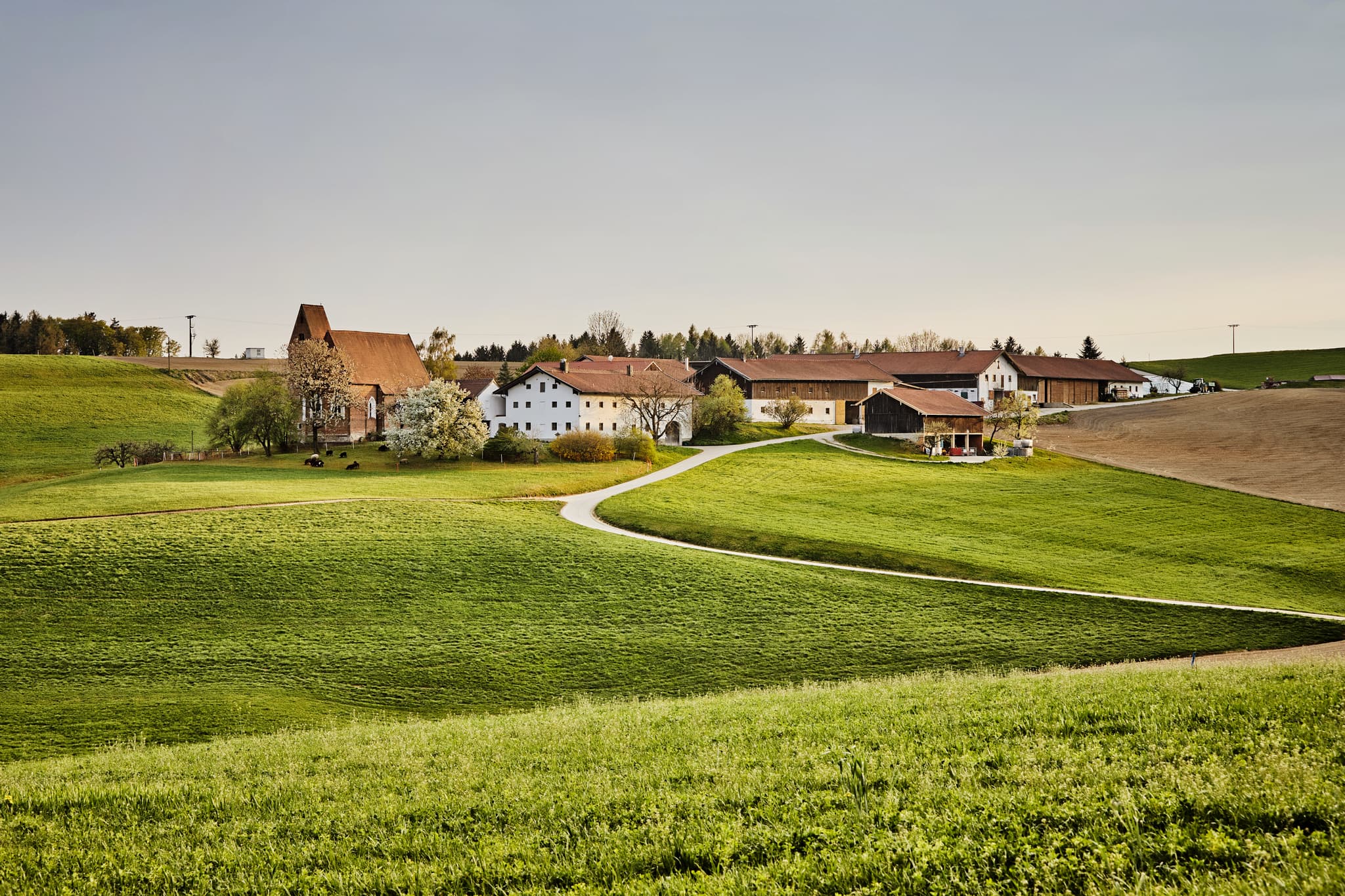Berg mit der Kirche St. Veit in Reischach, Altötting, Oberbayern, Region Inn-Salzach, Deutschland.  Es zeigt eine ländliche Landschaft mit Häusern und Feldern.
