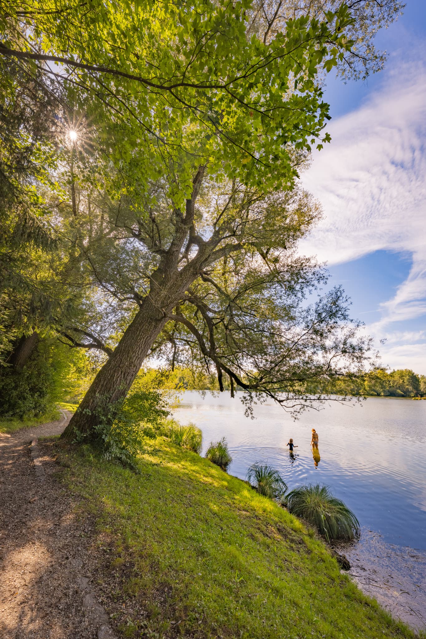 Idyllischer Waldsee bei Kirchdorf am Inn, Rottal-Inn, Niederbayern. Sommerliche Badesee-Szene im Bäderdrieck, Deutschland. Baum am Ufer, Badende im Wasser.