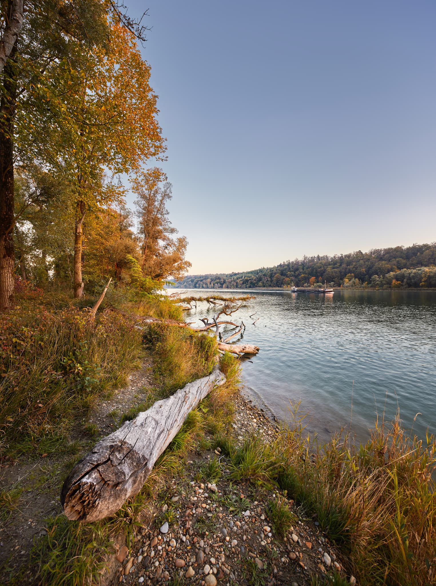 Idyllisches Herbstbild der Salzachseite bei Haiming in Oberbayern, Inn-Salzach Region, Deutschland. Schönes Panorama mit Schiff.