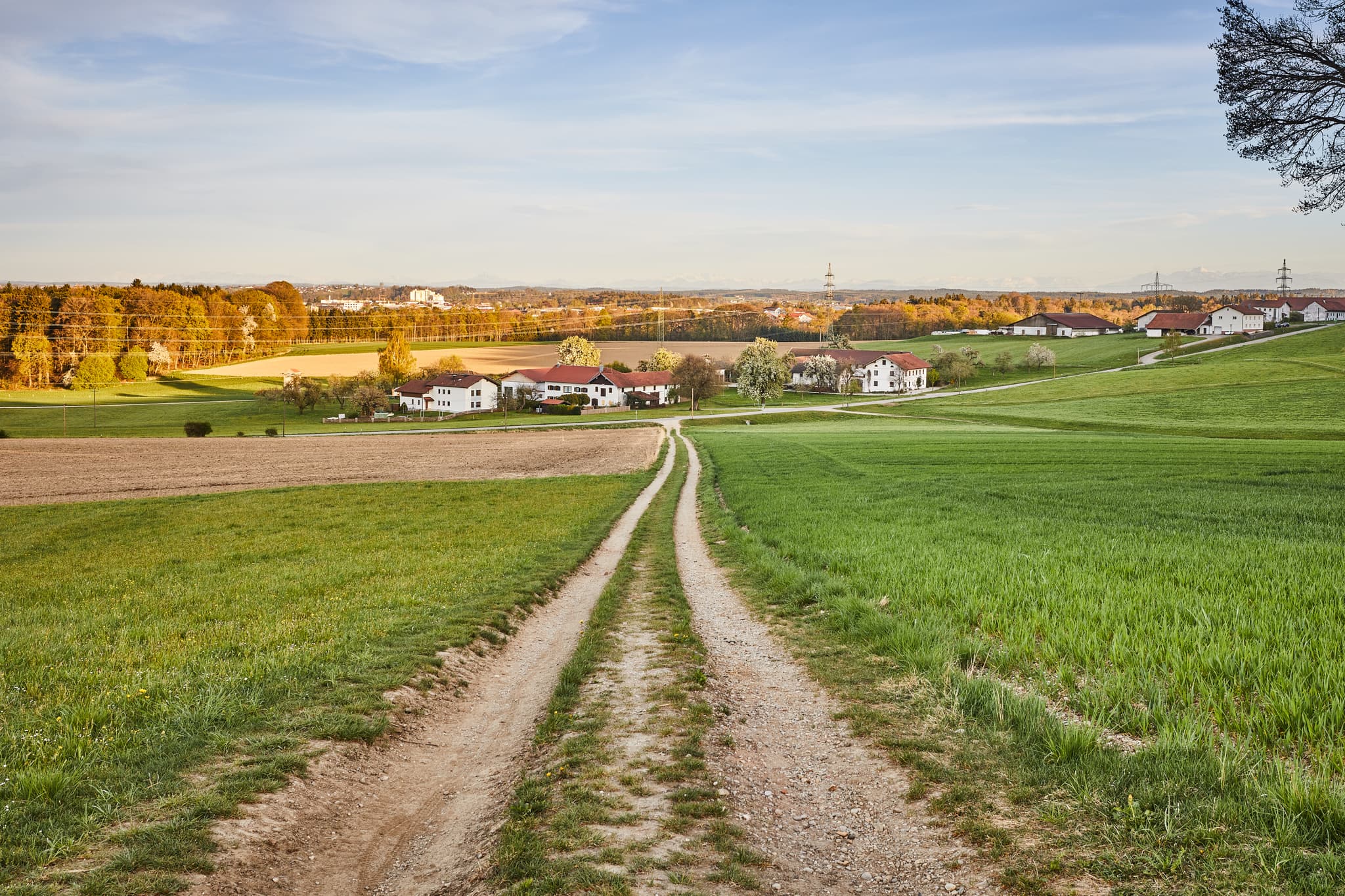 Feldweg führt durch grüne Felder Hörndlweg in Mehring, Landkreis Altötting. Weite Aussicht über die Region Inn-Salzach, Oberbayern, mit Blick auf Burghausen.