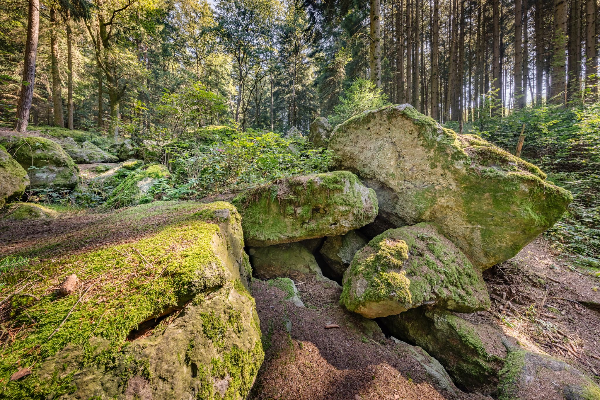 Geotop im Waldgebiet mit großen Geröll-Steinen aus der Eiszeit in Voglarn bei Triftern, Rottal-Inn, Niederbayern, Holzland, Bäderdreieck, Deutschland.