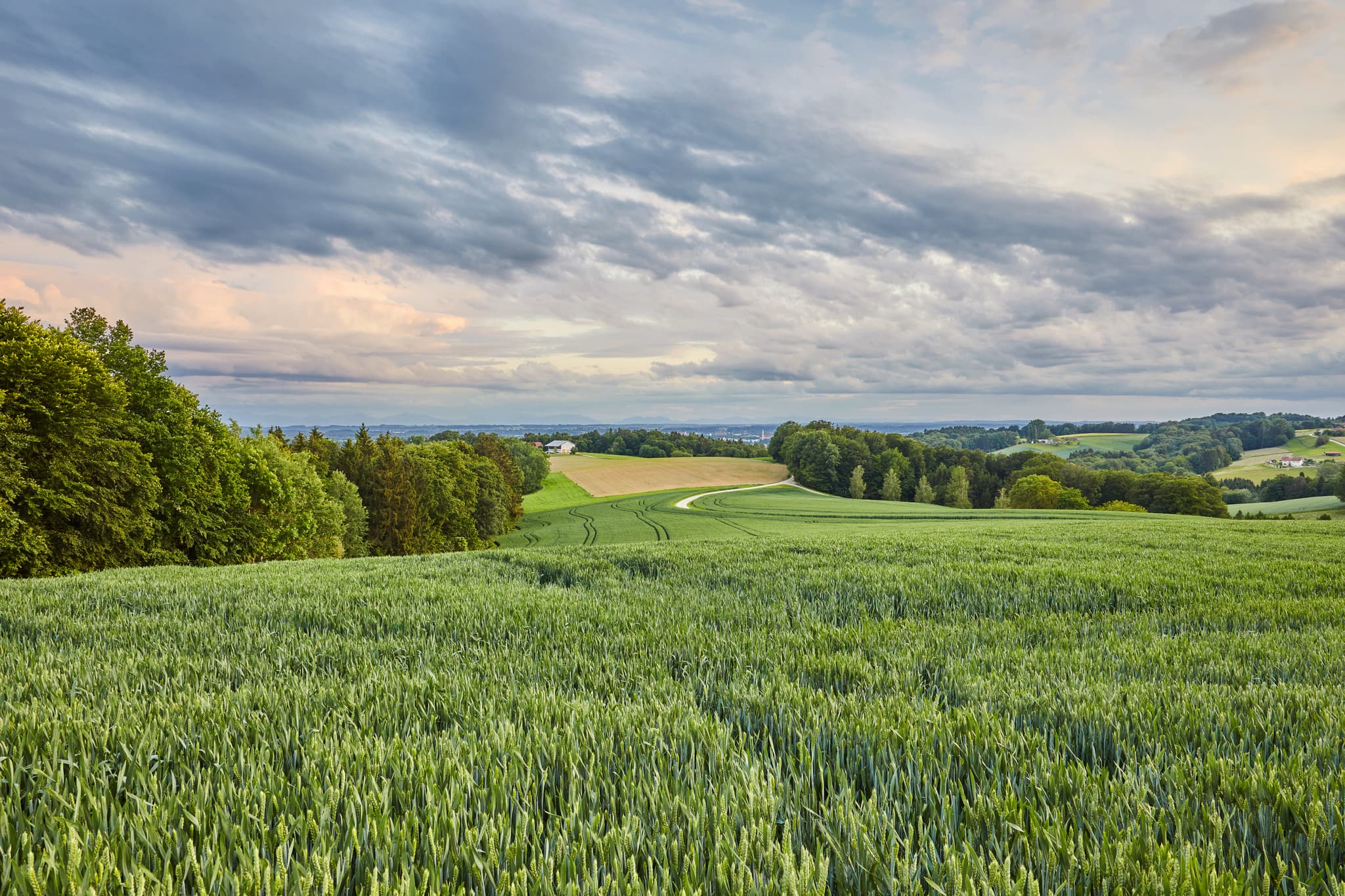 Friesing, Reischach, Altötting, Oberbayern