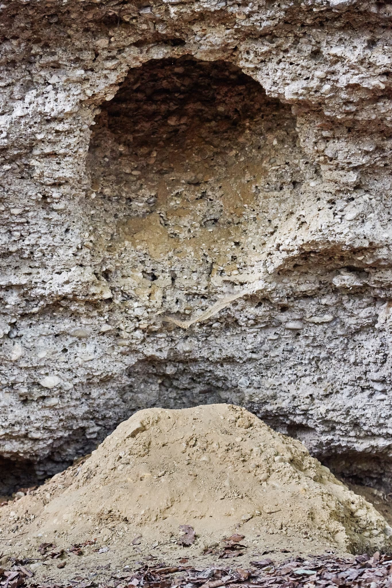 Geologische Orgeln in Oberschroffen, Unterneukirchen, Landkreis Altötting, Oberbayern. Detailansicht der Felsformationen in der Region Inn-Salzach, Deutschland.