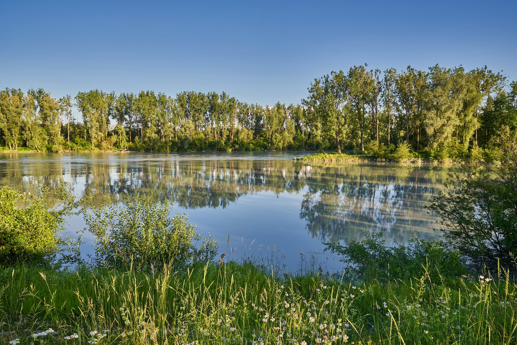 Idyllische Aufnahme des Innspitz Innkanals und Inns bei Töging am Inn, Landkreis Altötting, Oberbayern. Naturidylle der Inn-Salzach Region.