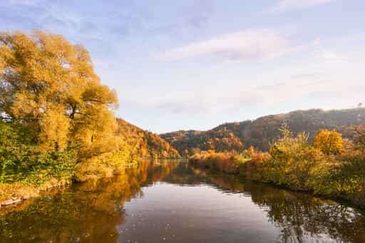 Erlau Donaumündung im Herbst, Landkreis Passau, Niederbayern