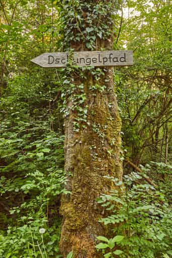 Klosterau Walderlebnispfad Alz Au, Altötting, Oberbayern