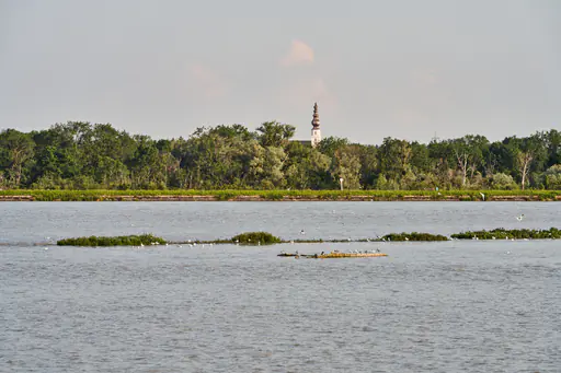 Mining, Europareservat Unterer Inn, Rottal-Inn
