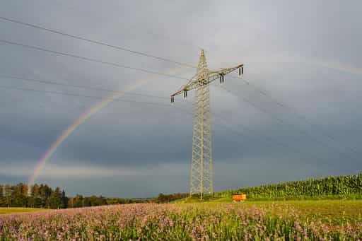 Lavendelfeld mit Strommasten, Adlstraß, Erding, Oberbayern