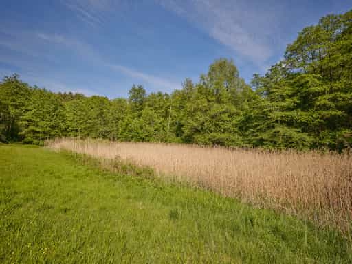 Reischachbach Quelle, Steinhausen, Altötting, Oberbayern