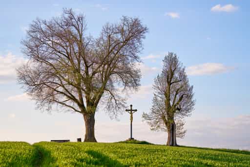 Feldkreuz Aussichtspunkt Bad Griesbach, Passau, Niederbayern