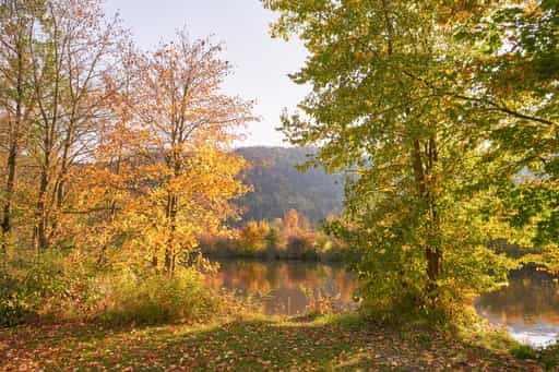 Herbst in Erlau Donaumündung, Passau, Niederbayern